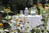 Garten - TOP EMBRACE Hotel Grenzfall Berlin