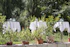 Garten - TOP EMBRACE Hotel Grenzfall Berlin