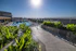 Dachterrasse mit Cafe_TOP Ayla Grand Hotel Al Ain
