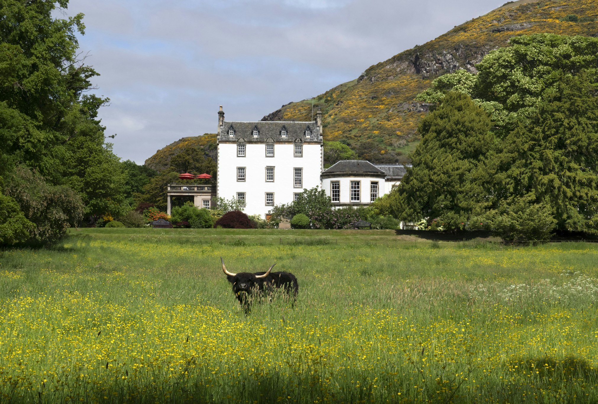 Prestonfield House