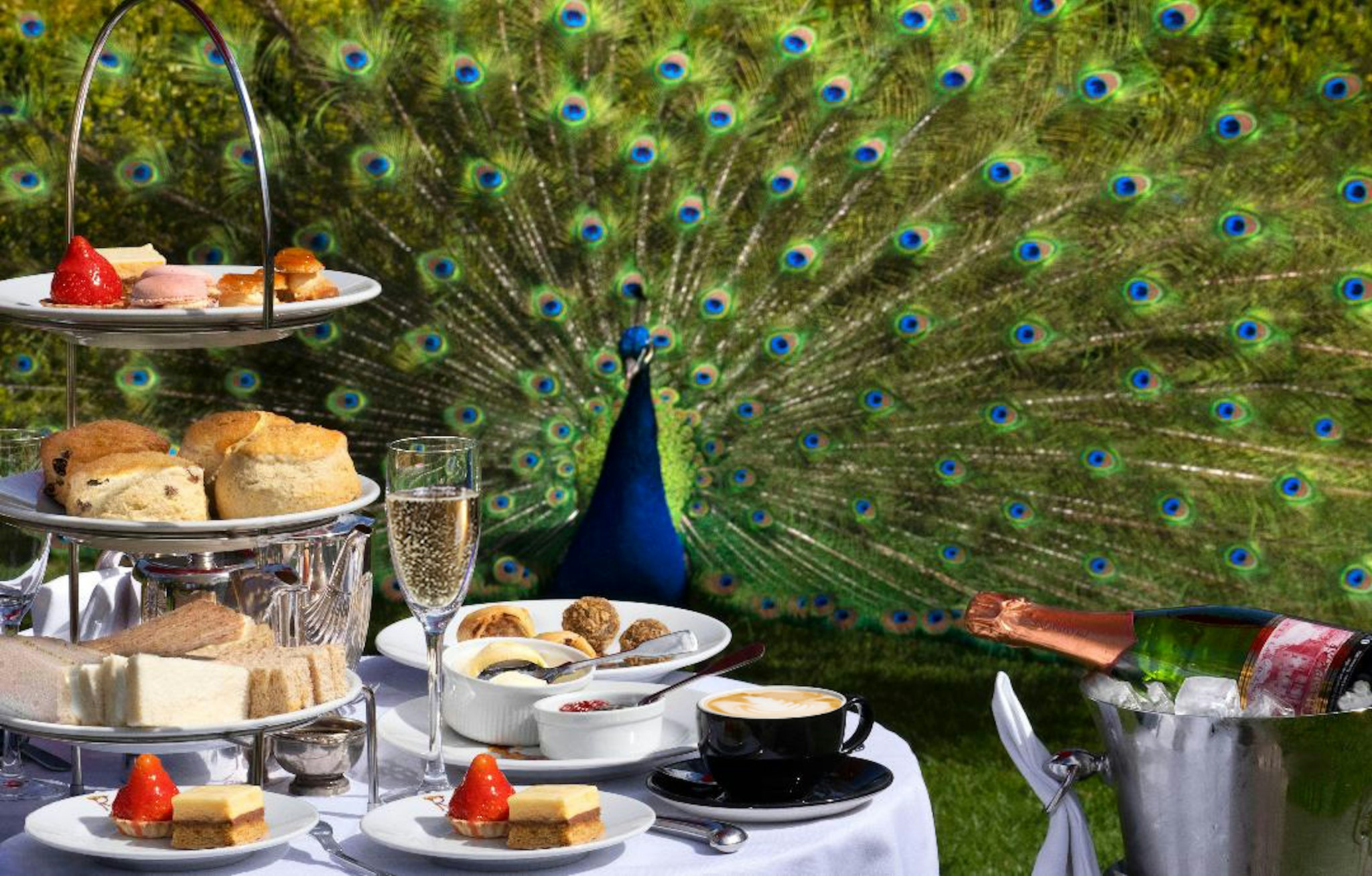Venue gallery photo