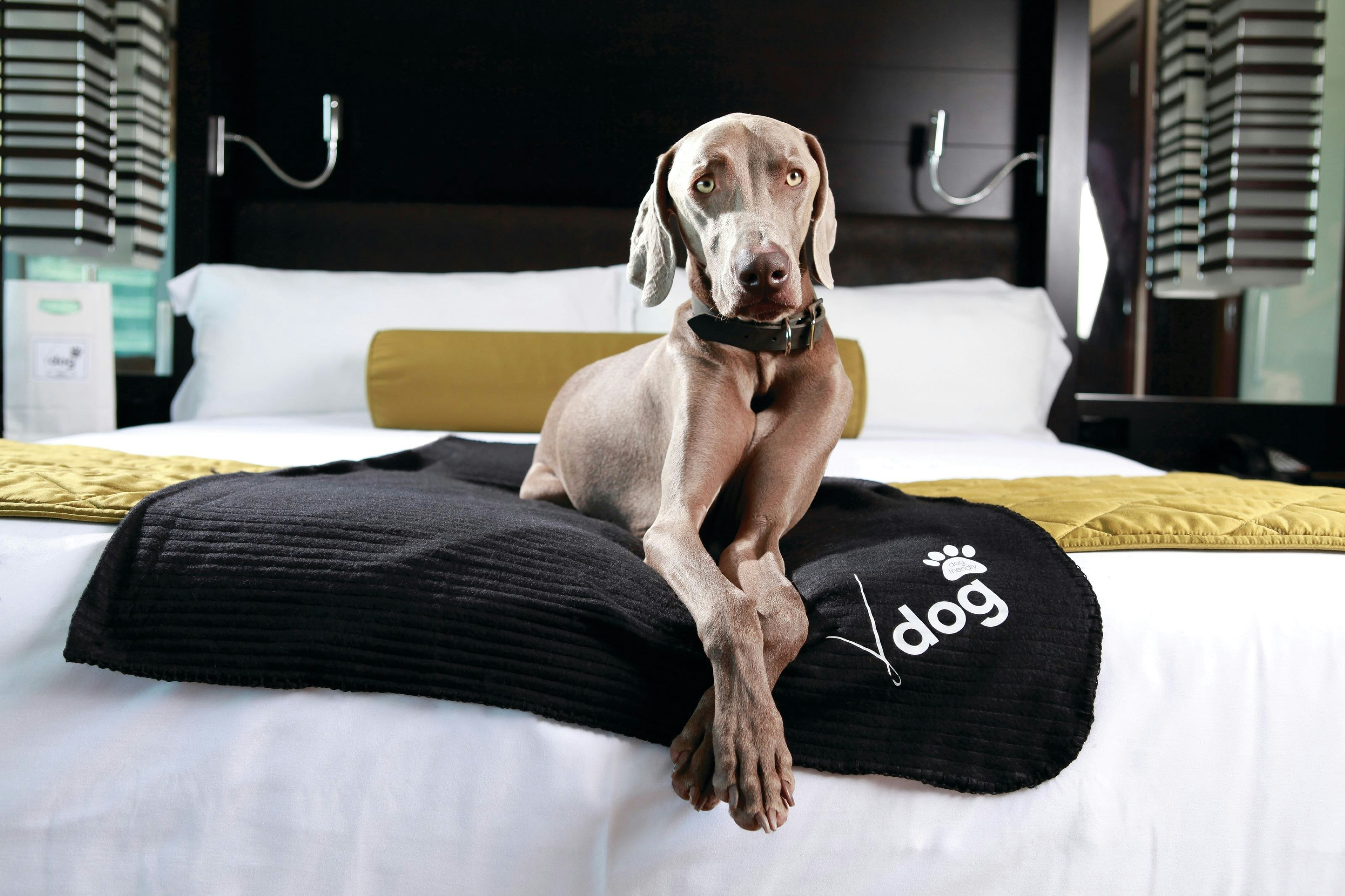 Vdara Hotel & Spa