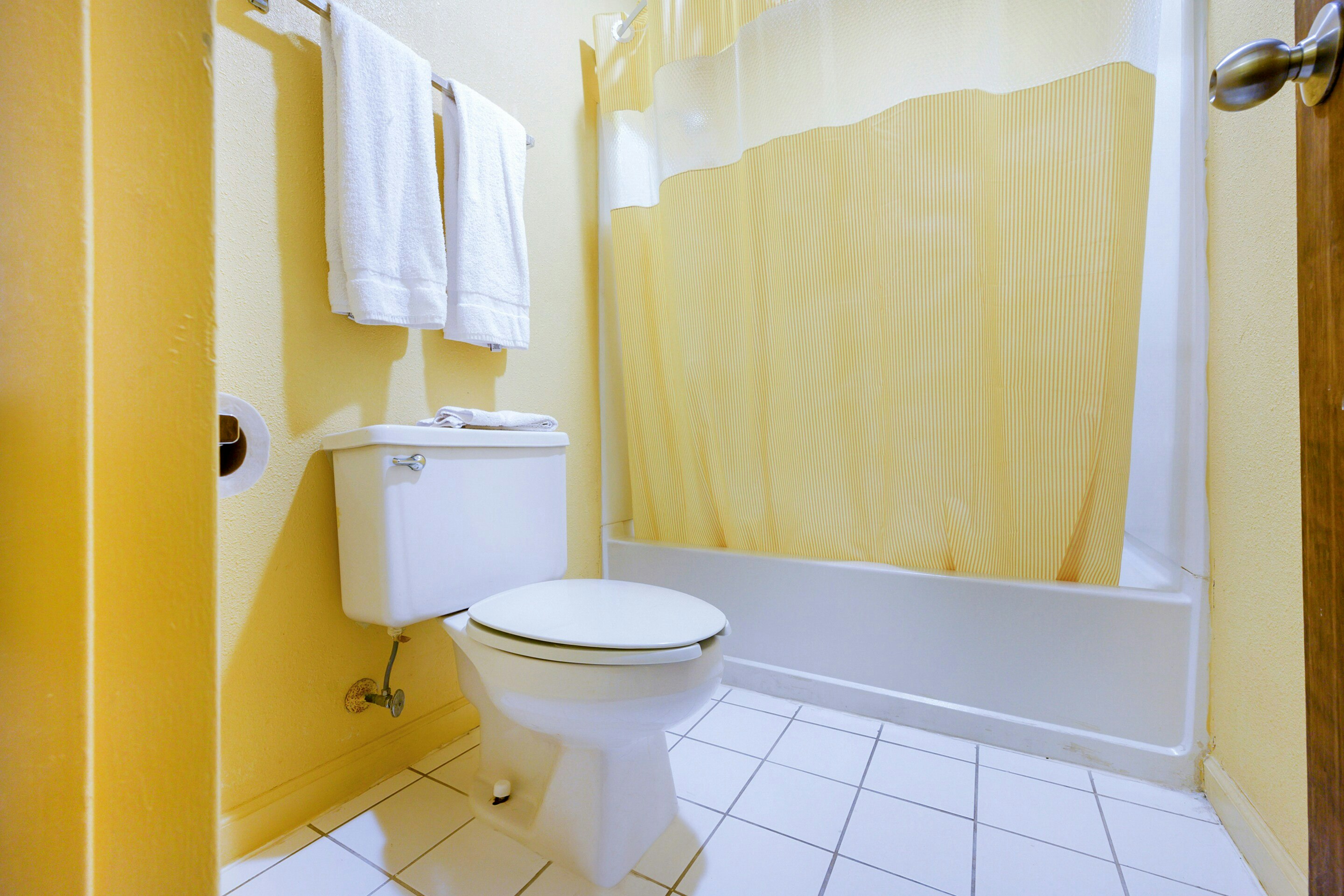 1 Bedroom Suite