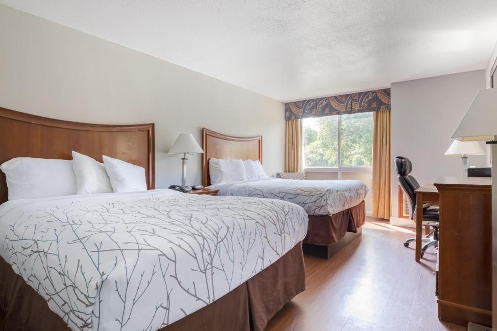 2 Queen Beds