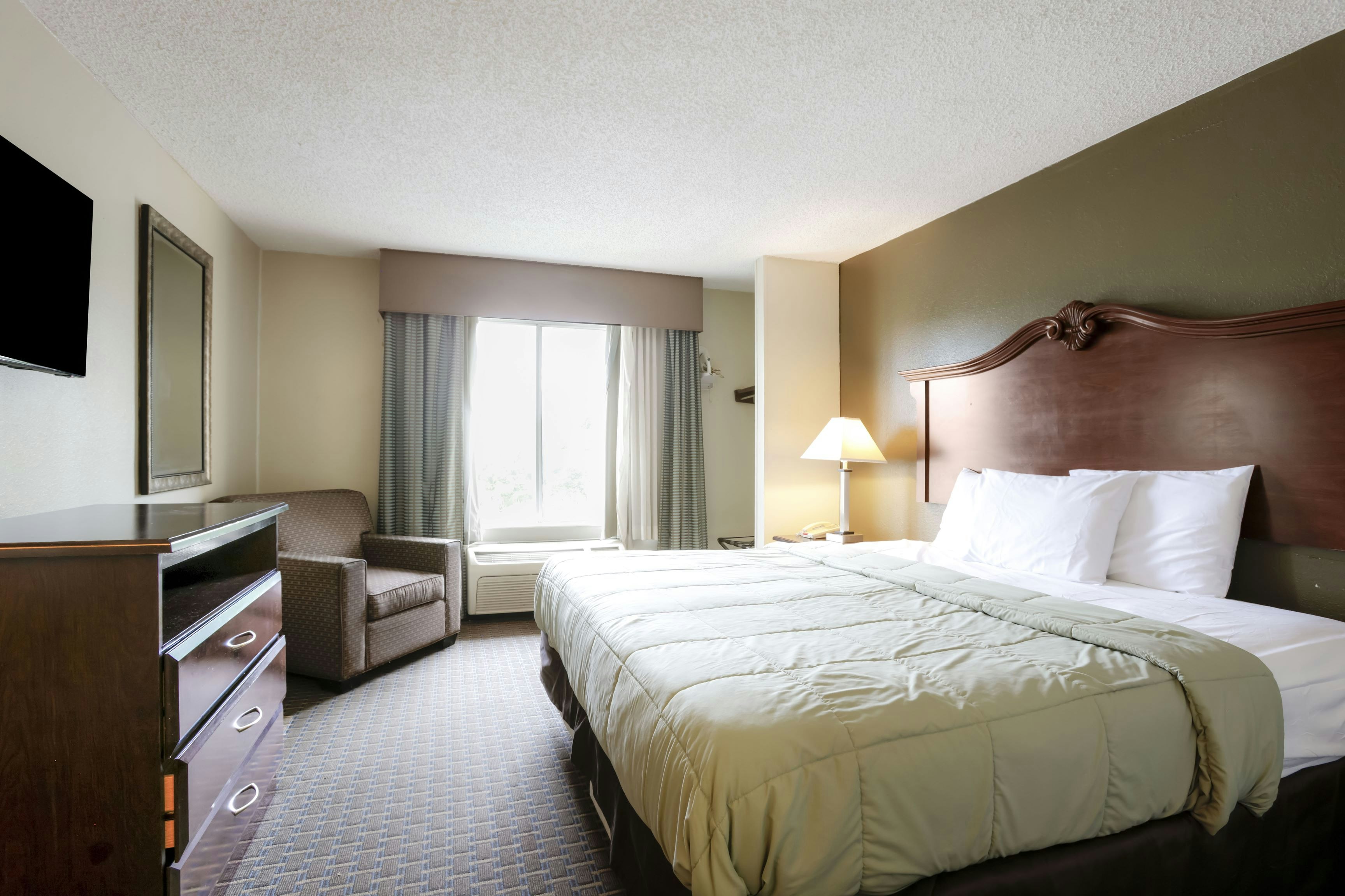 Suite - King Bed