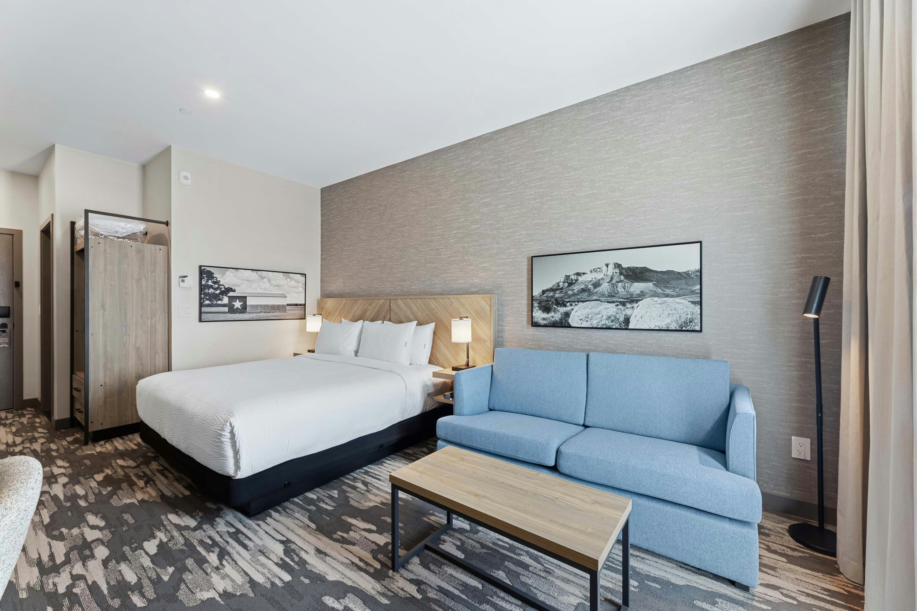 Standard Room, 1 King Bed, Sofa Bed