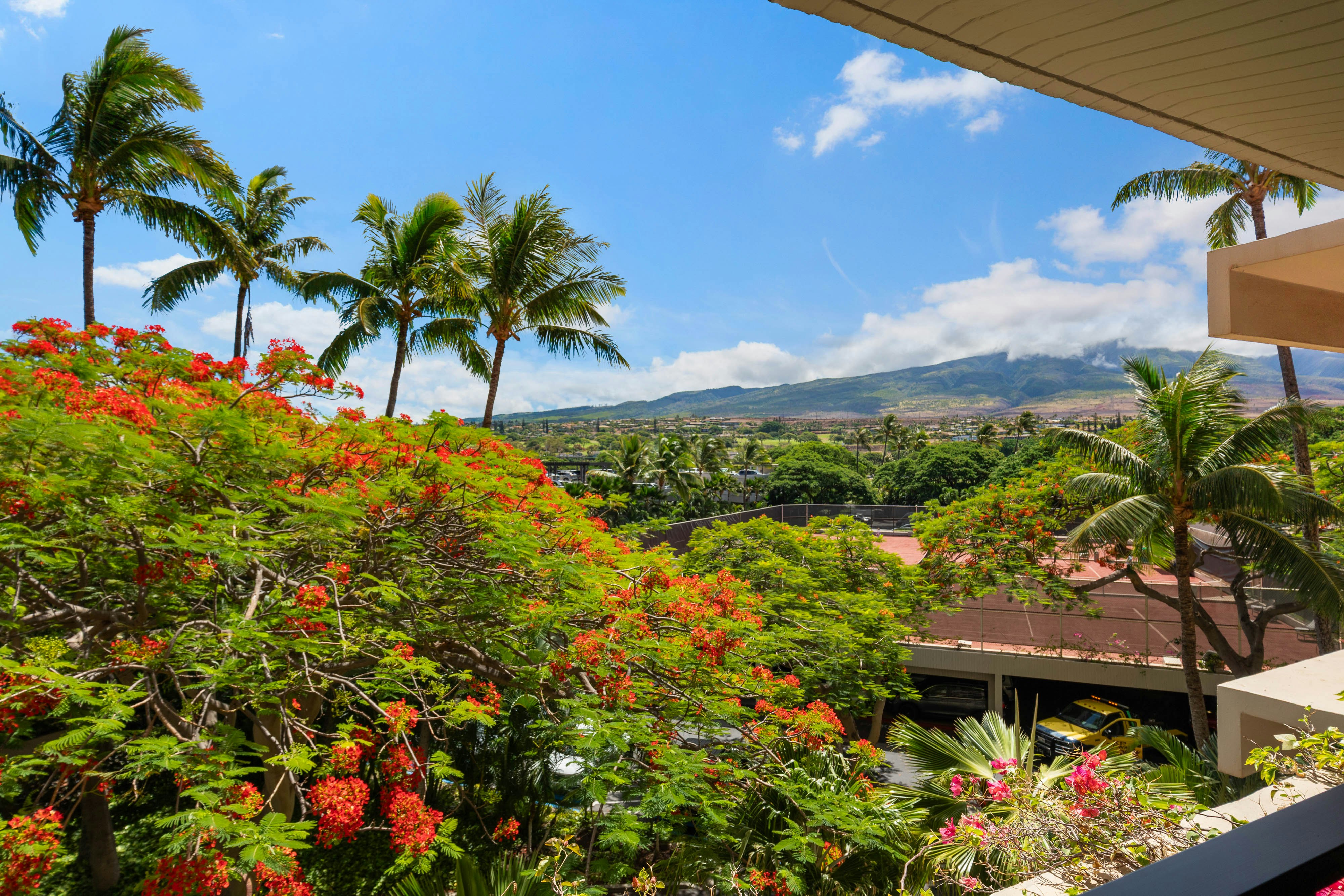 Kaanapali Alii 244