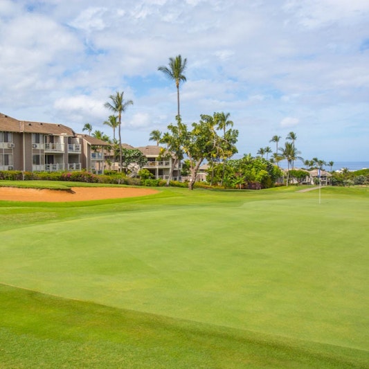 Wailea Grand Champions