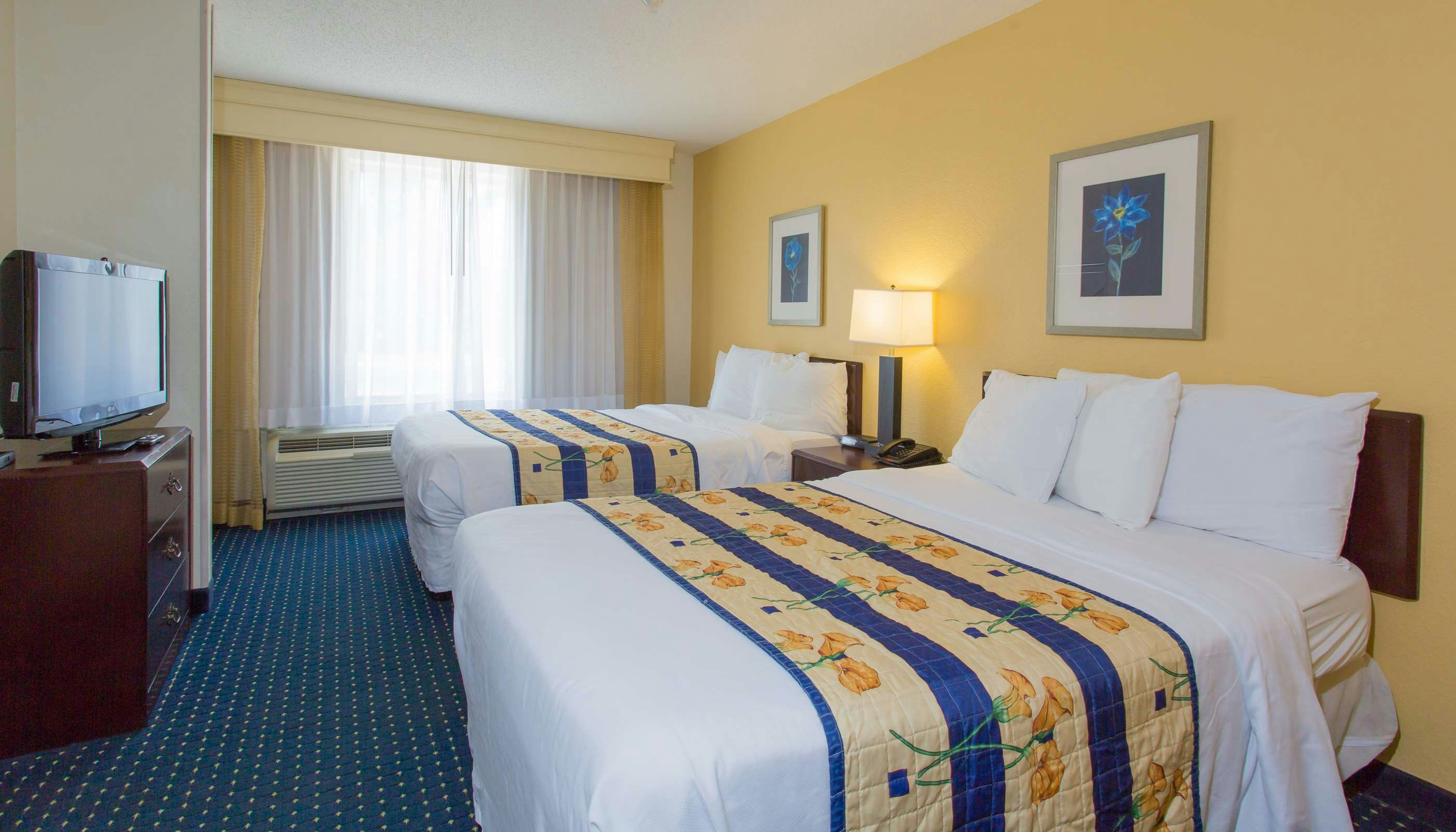 Studios & Suites 4 Less Gum Road