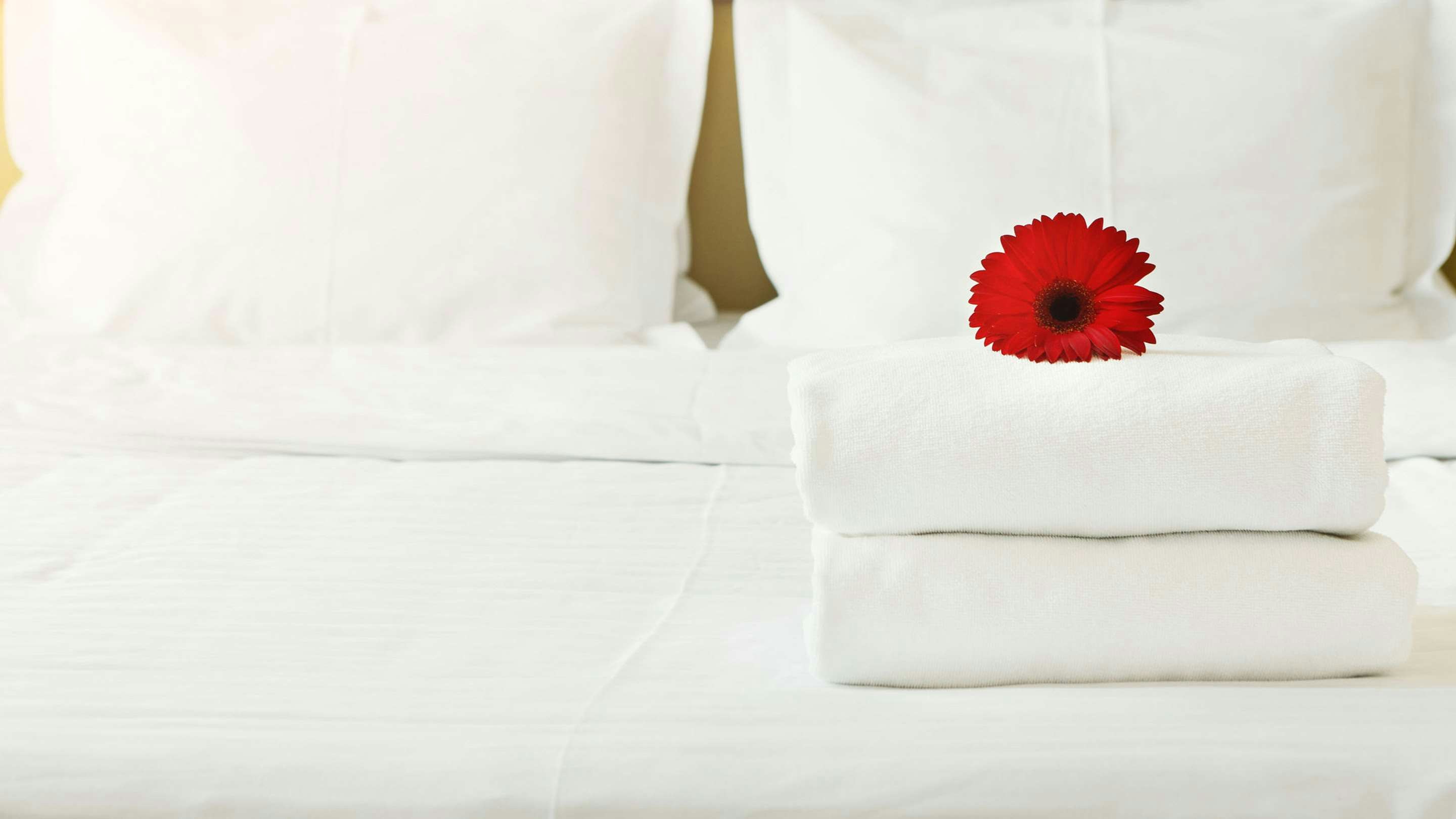 Inn of Loudon 2 Double Beds Nonsmoking