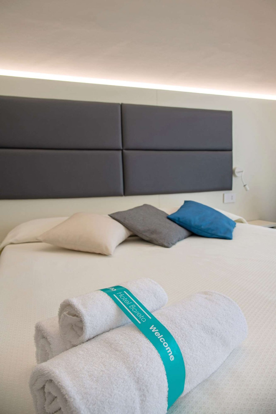 Hotel Bareta