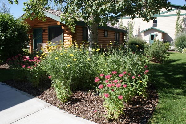 Flying Saddle Resort