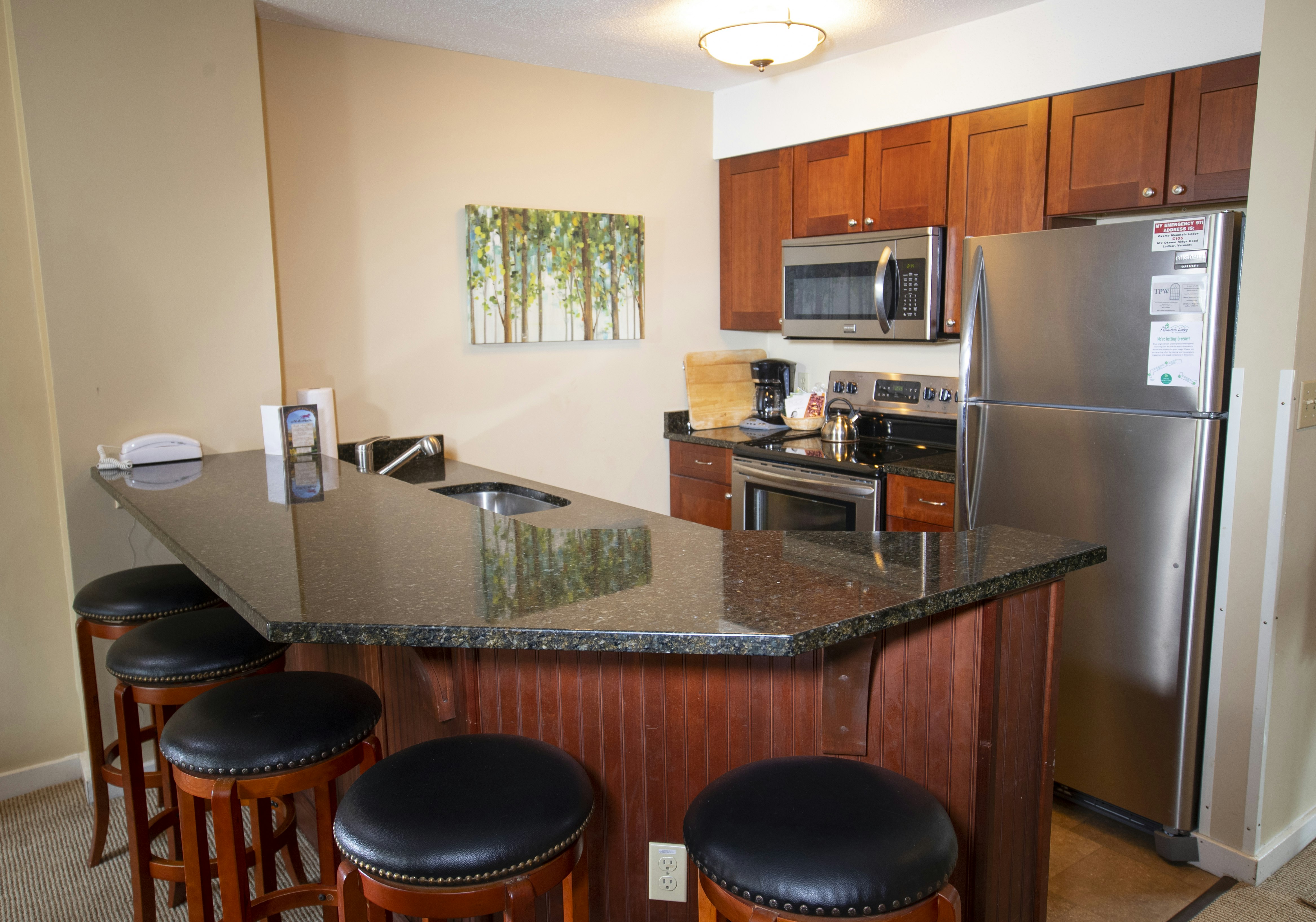 Mountain Lodge at Okemo, A Vail Resorts Property