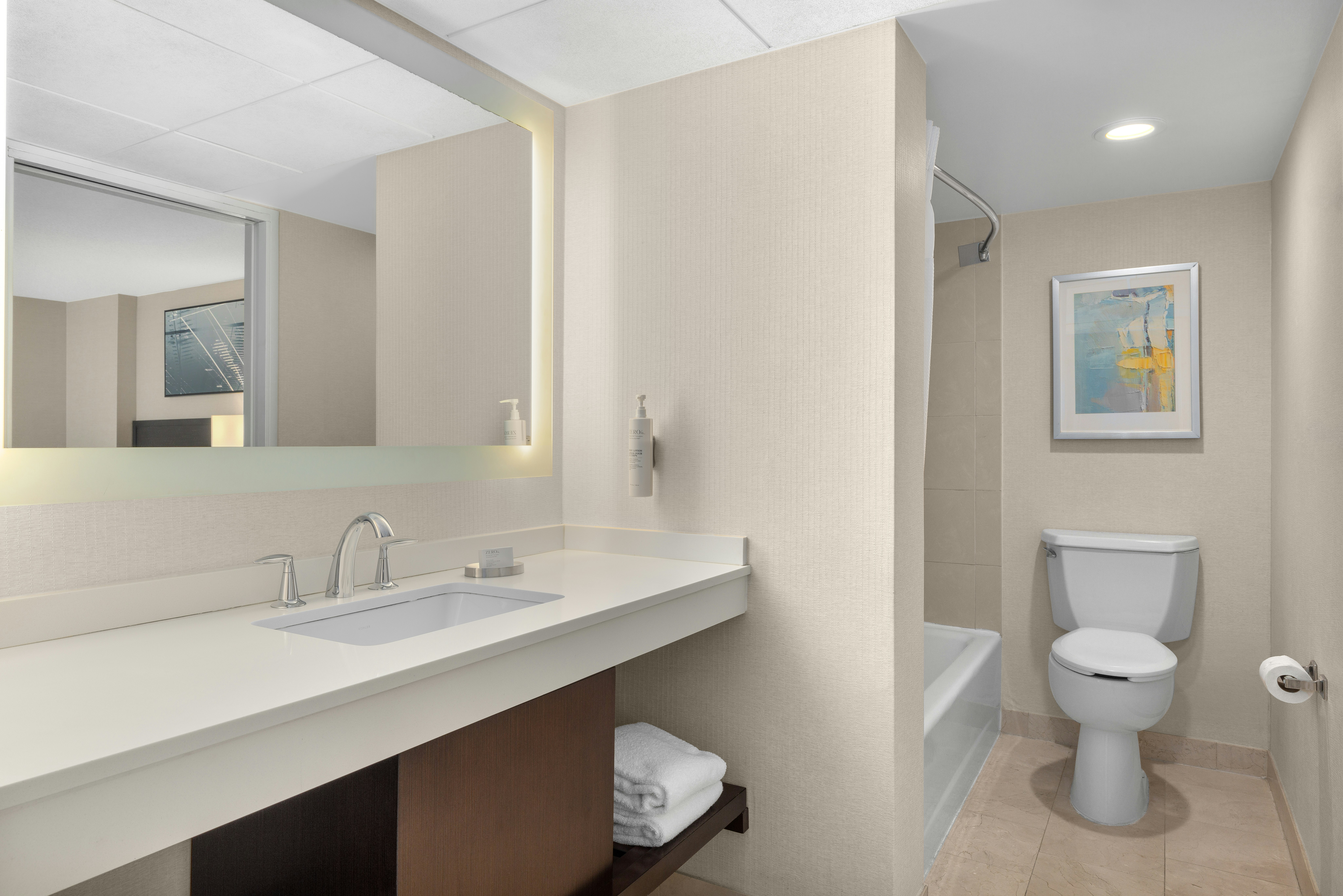 1 KING HOSPITALITY SUITE