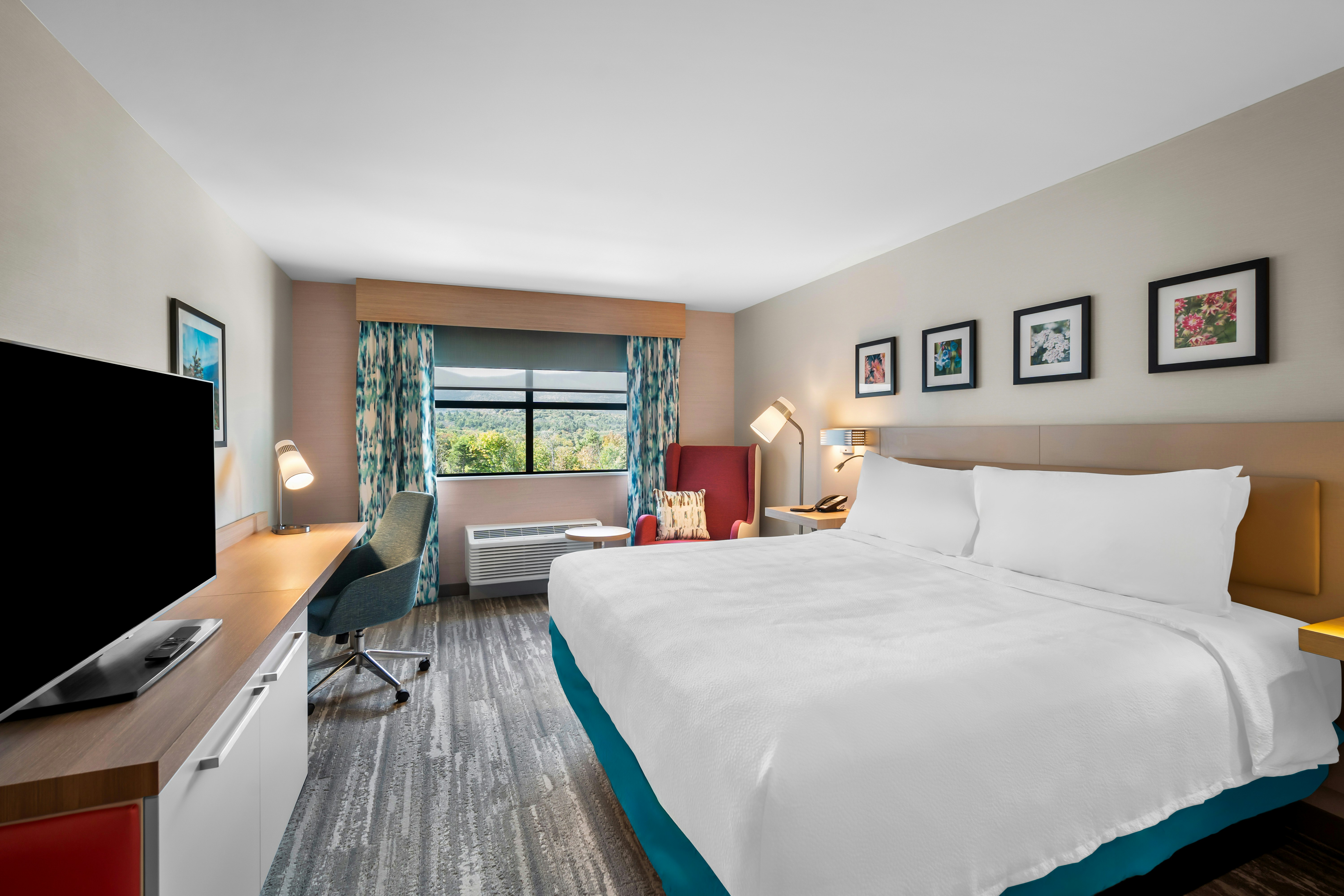 1 KING BED MOUNTAIN VIEW