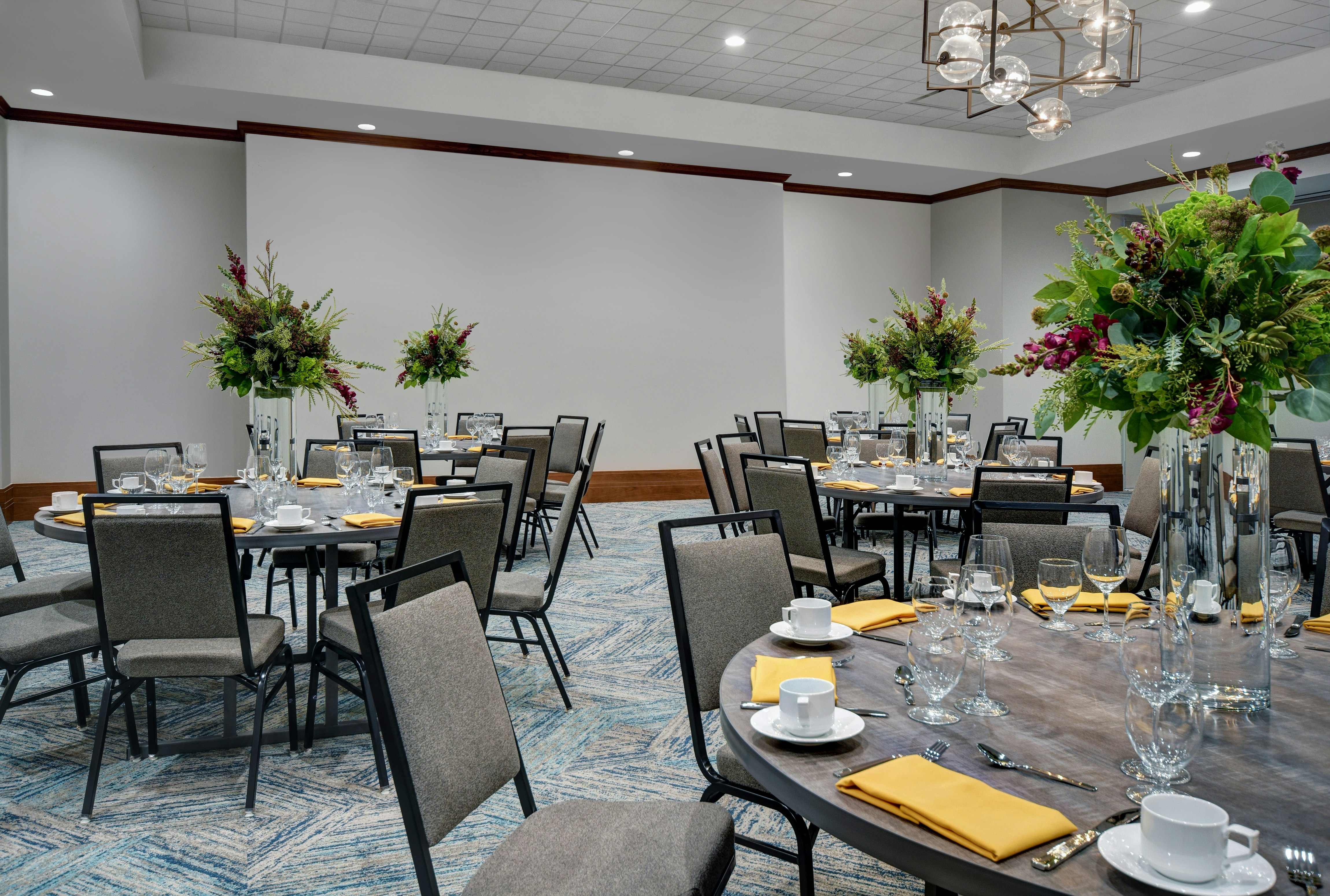 Hilton Garden Inn Houston Medical Center, TX