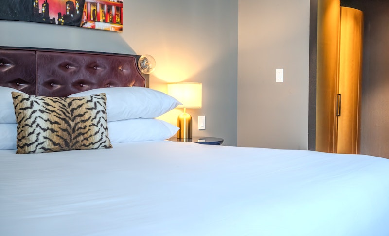 The Radical Asheville, Tapestry Collection by Hilton