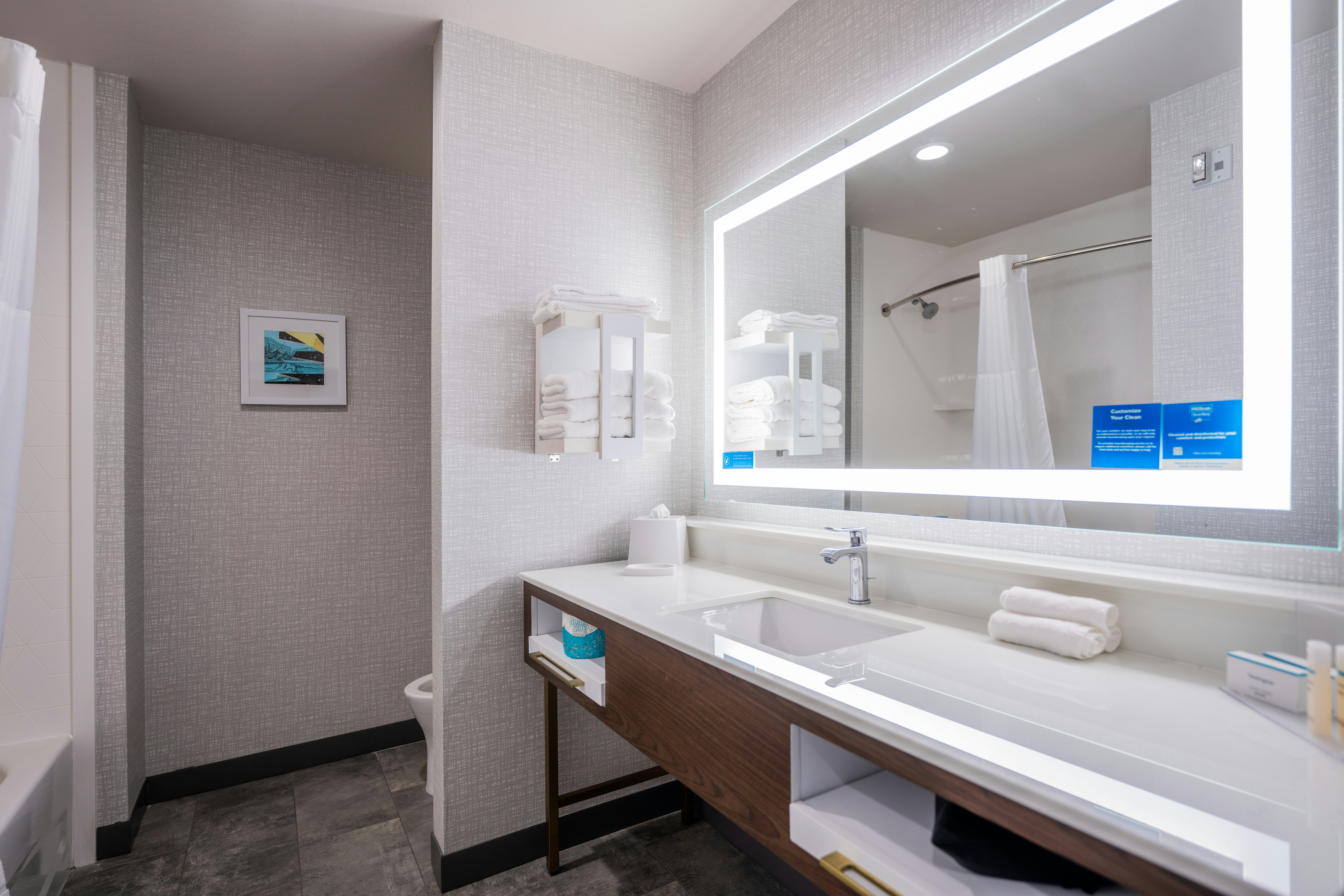 Hampton Inn & Suites Houston/Sugar Land