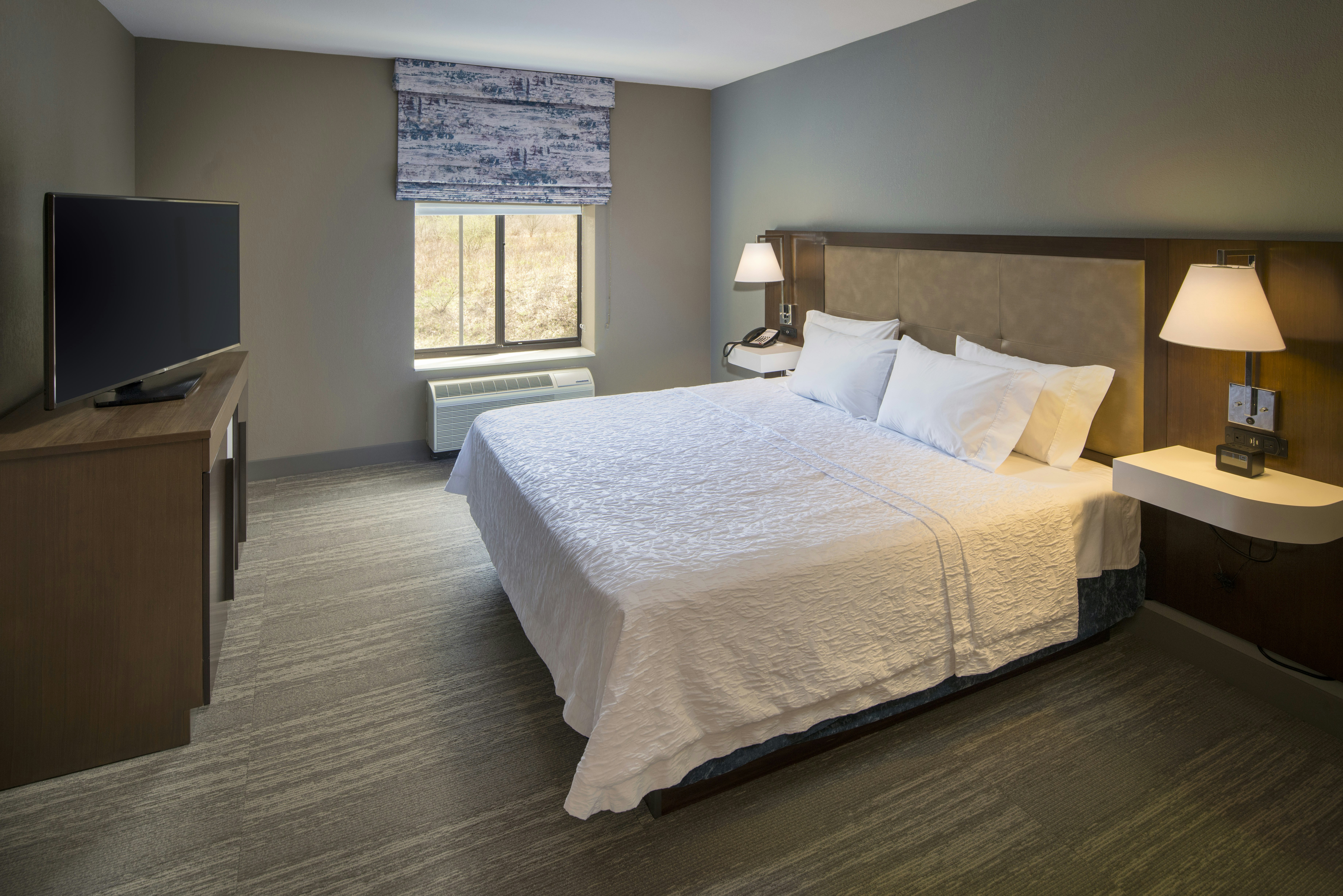 Hampton Inn & Suites Binghamton/Vestal