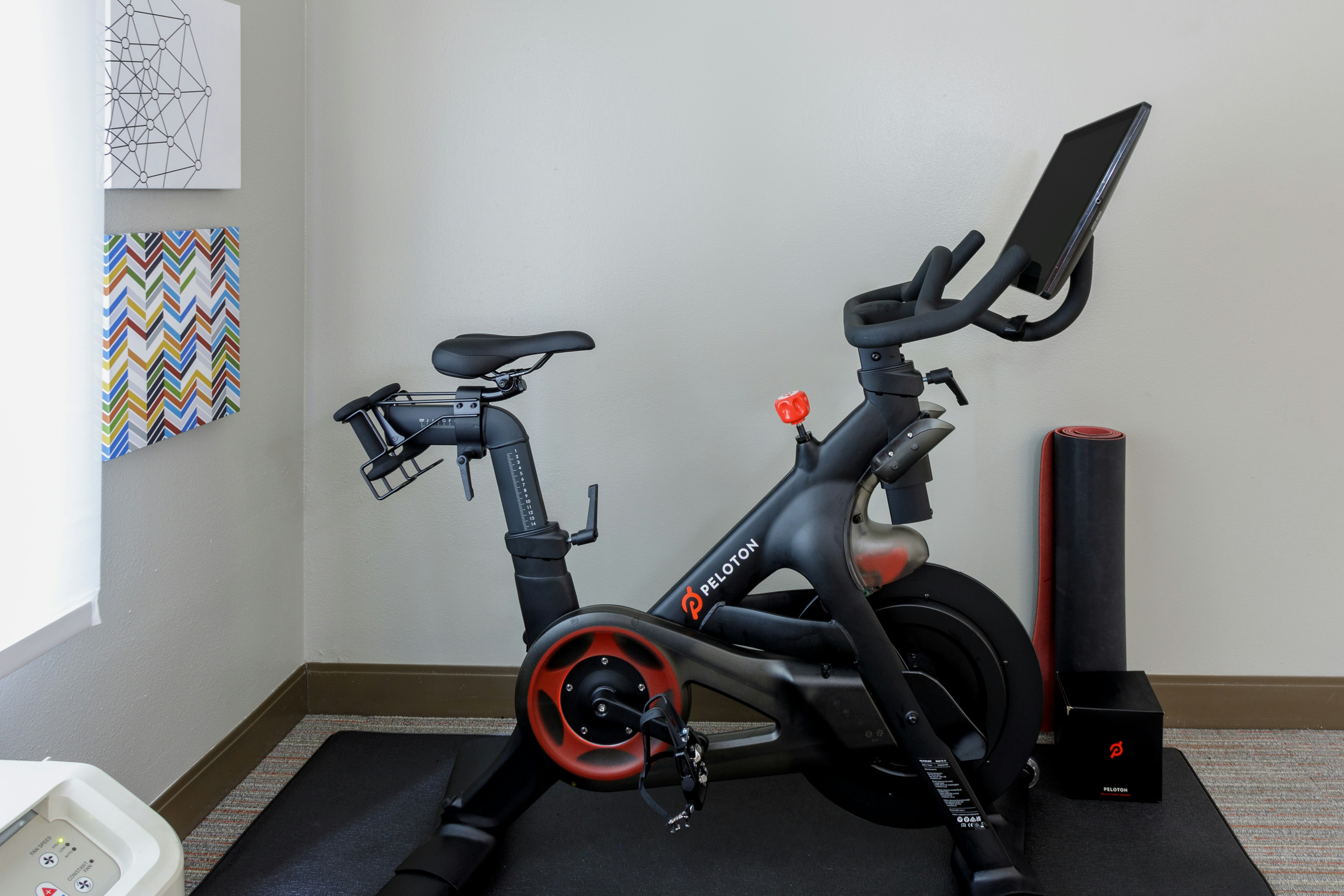 1 KING BED- PELOTON BIKE
