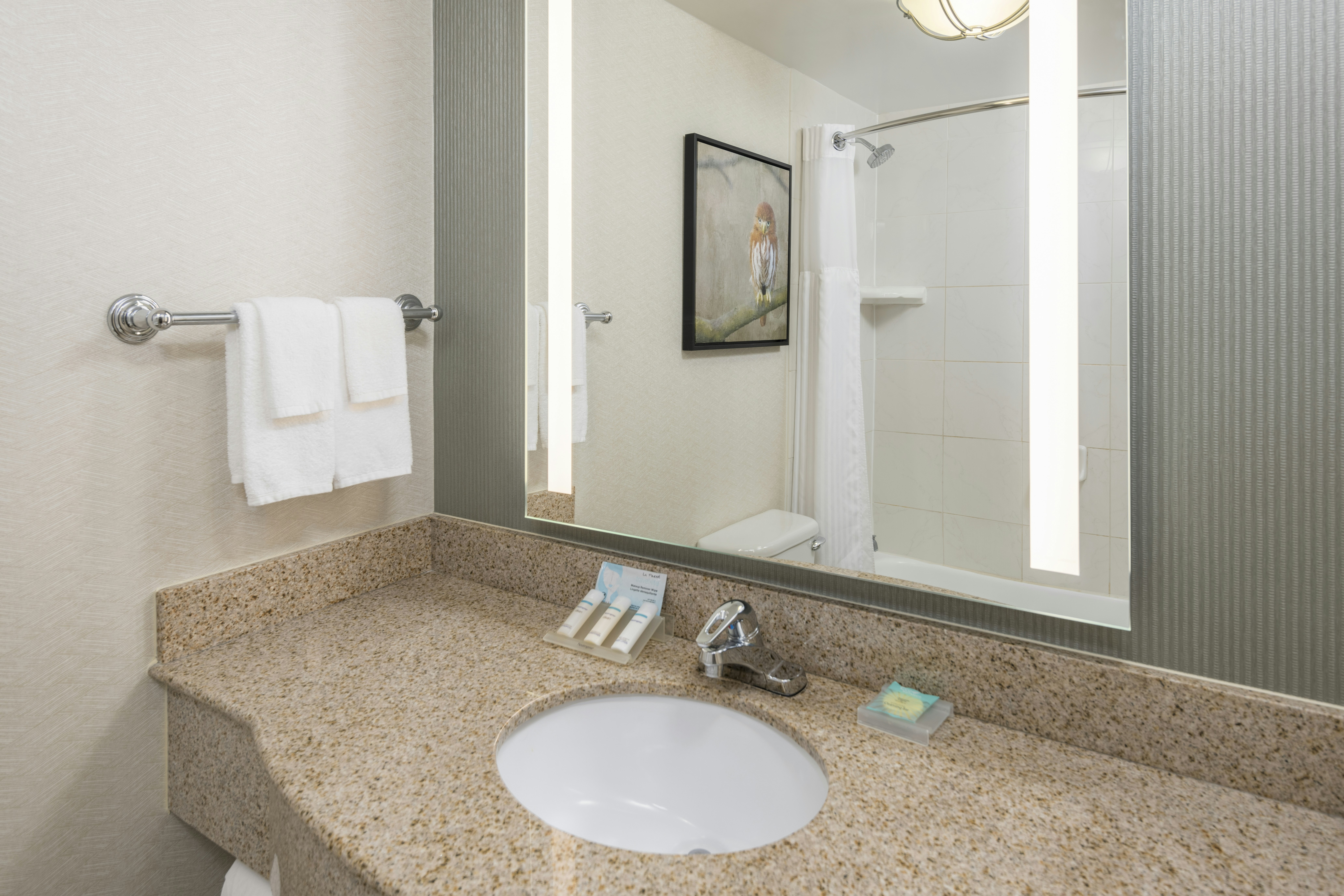 Hilton Garden Inn Scottsdale North/Perimeter Center