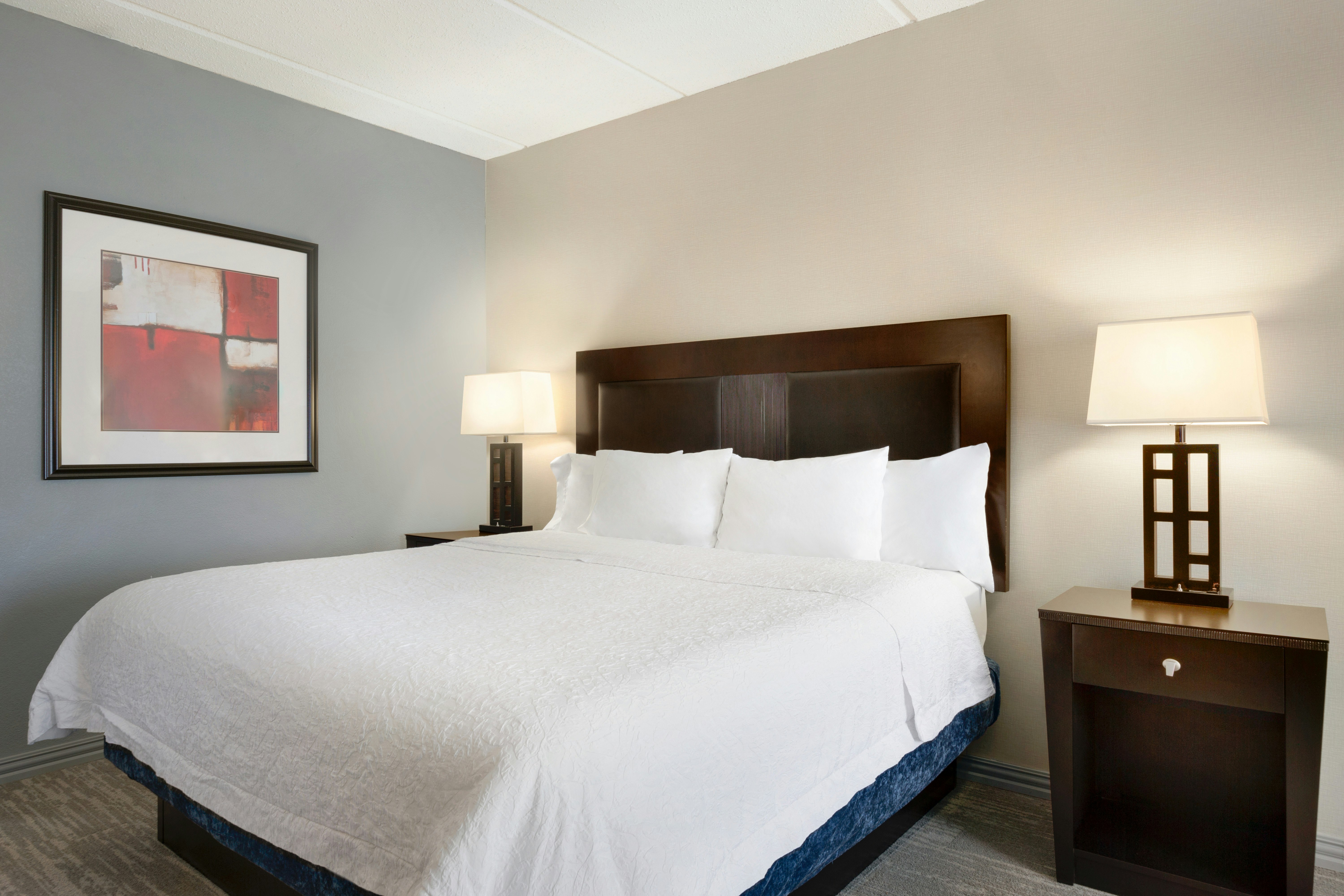 Hampton Inn & Suites Houston/Clear Lake-NASA Area