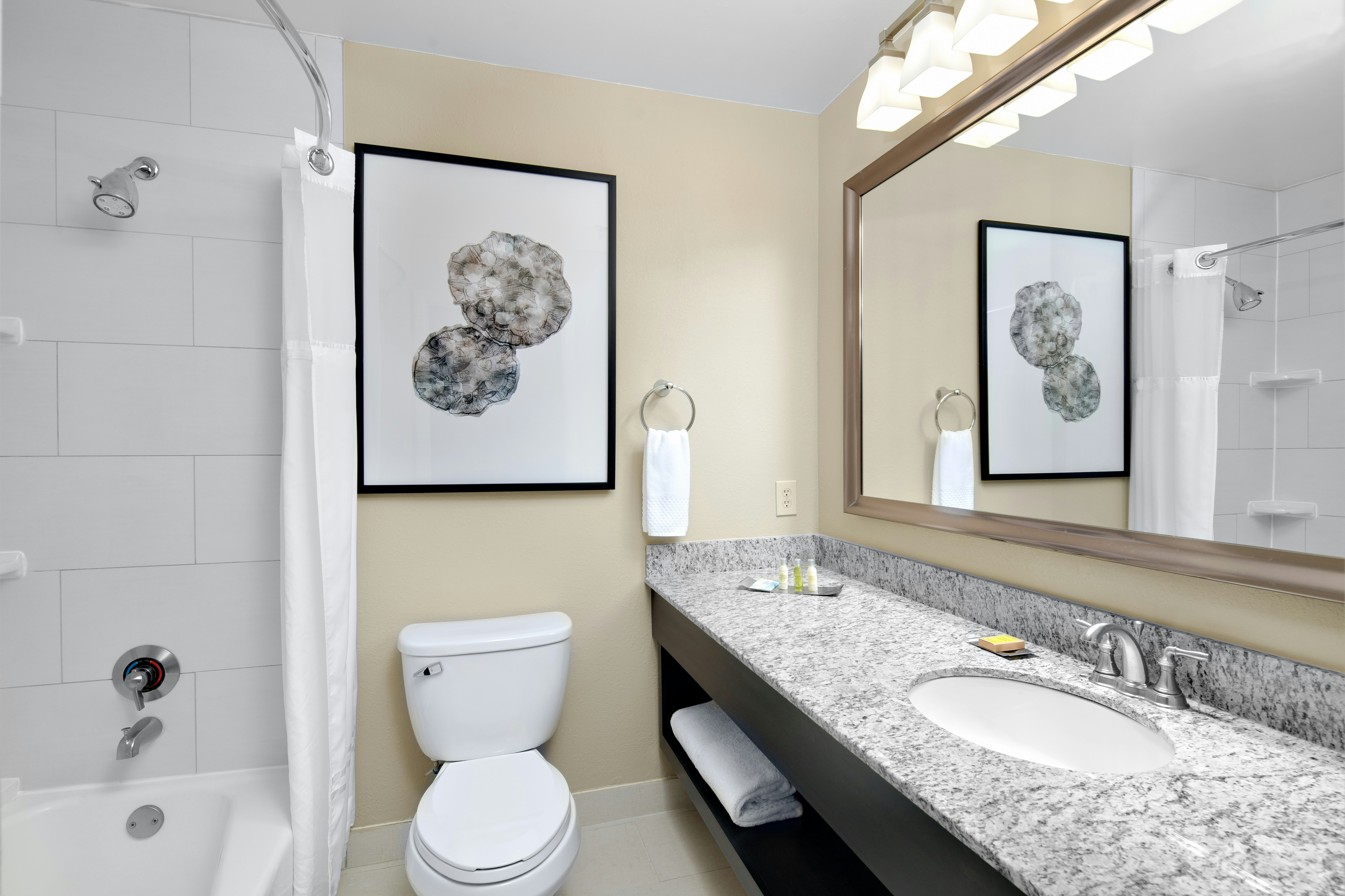 1 KNG 1 BDRM W/WET BAR