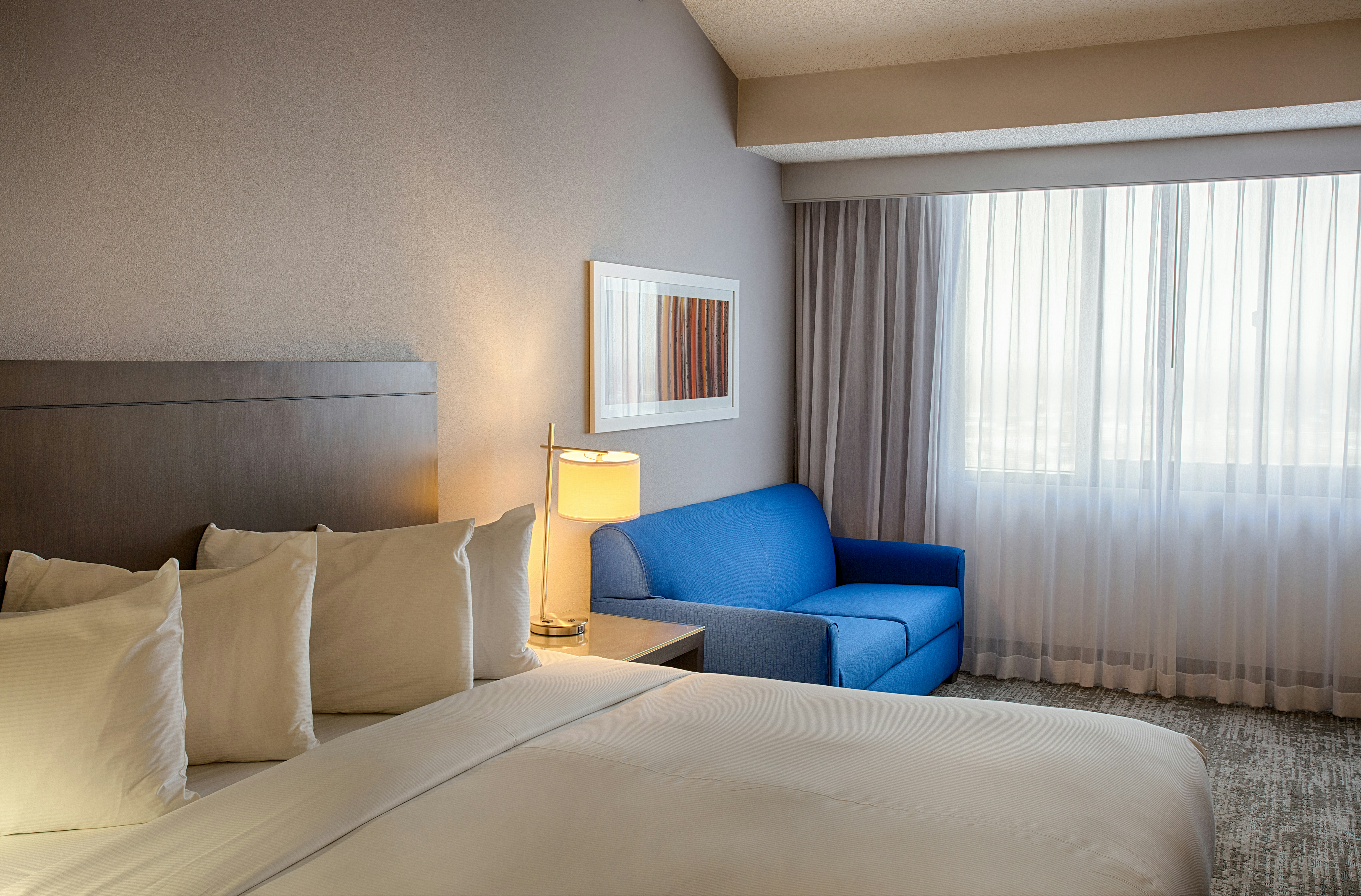 1 KING BED DELUXE