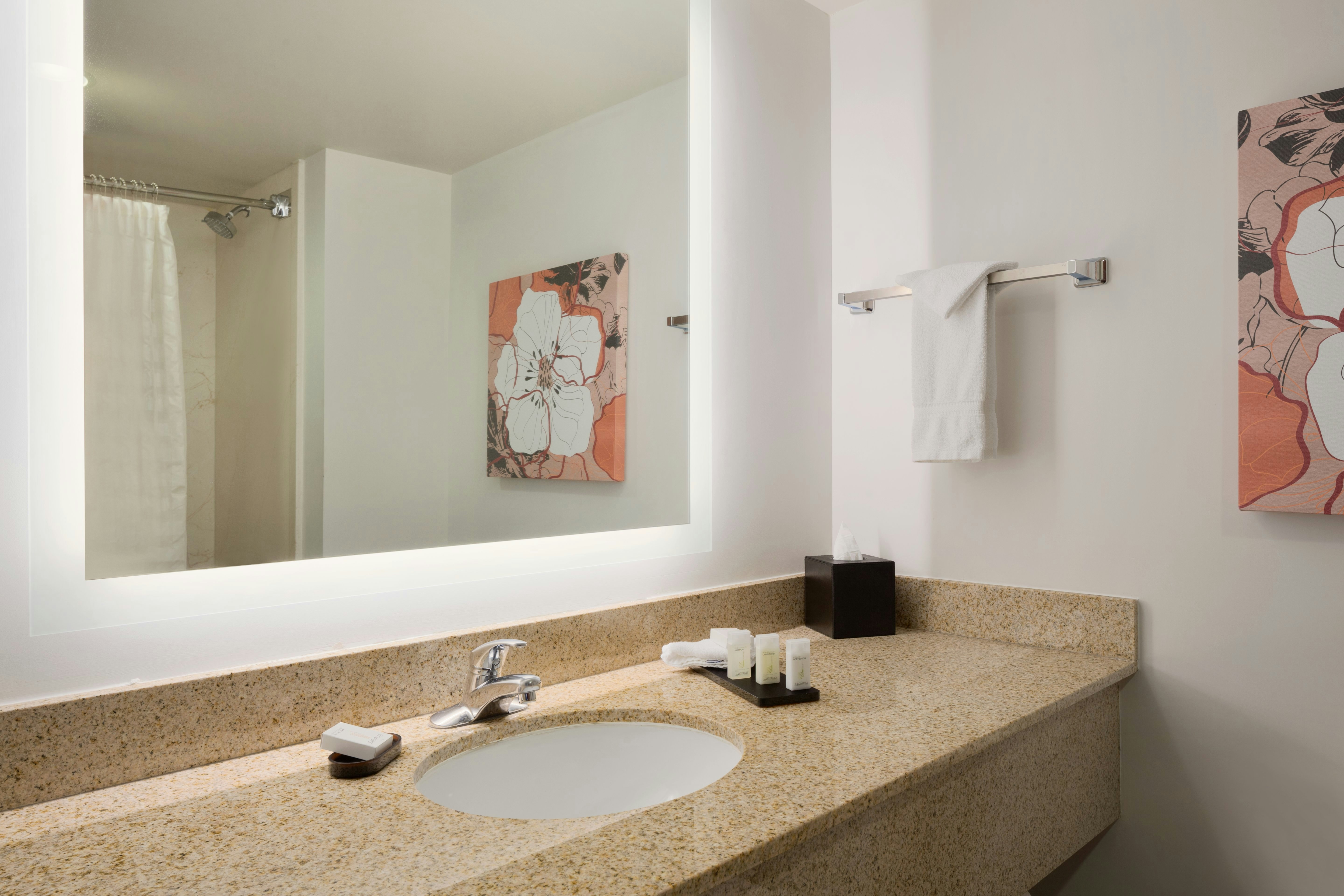 Embassy Suites by Hilton Denver International Airport