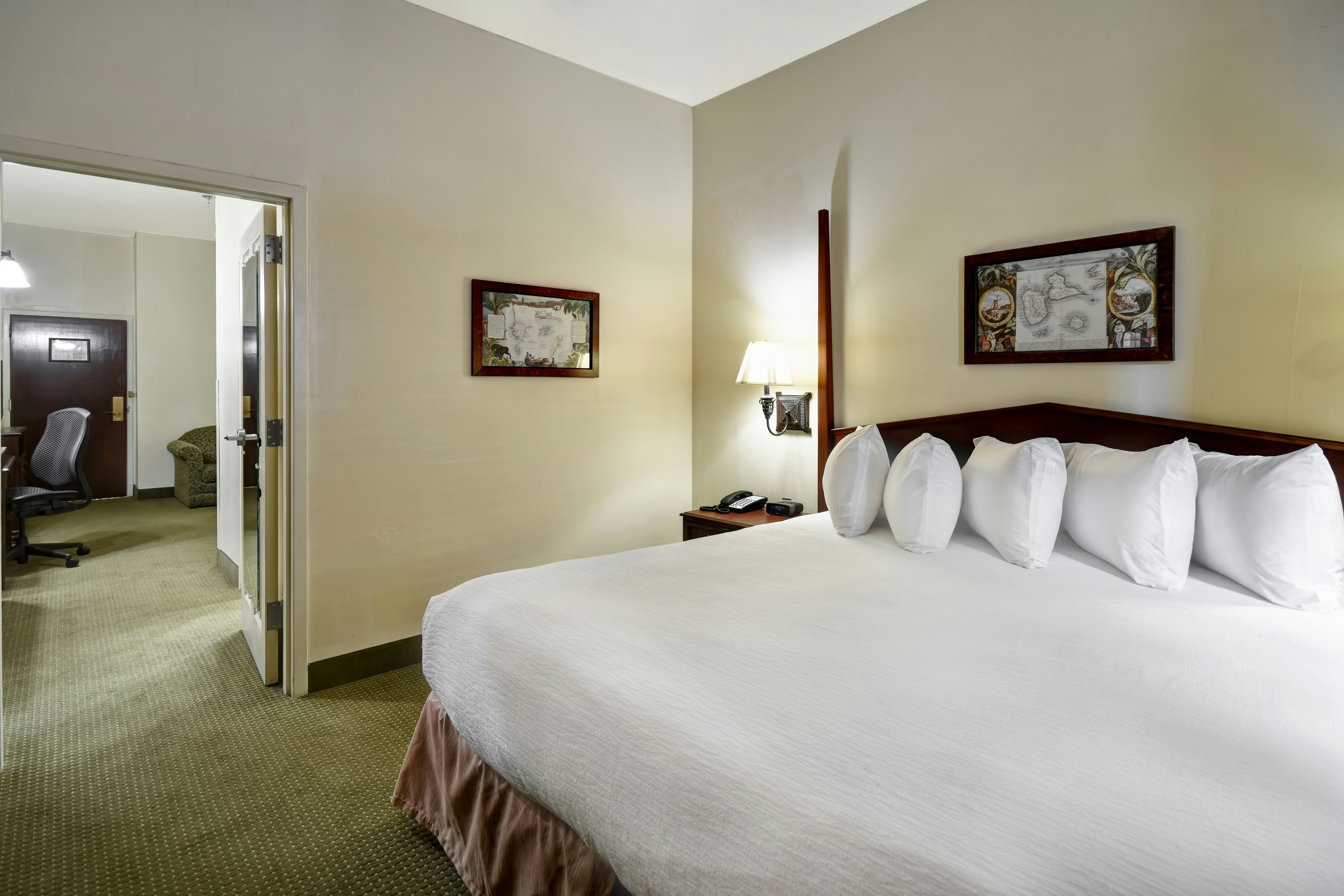 Embassy Suites by Hilton Charleston Historic District