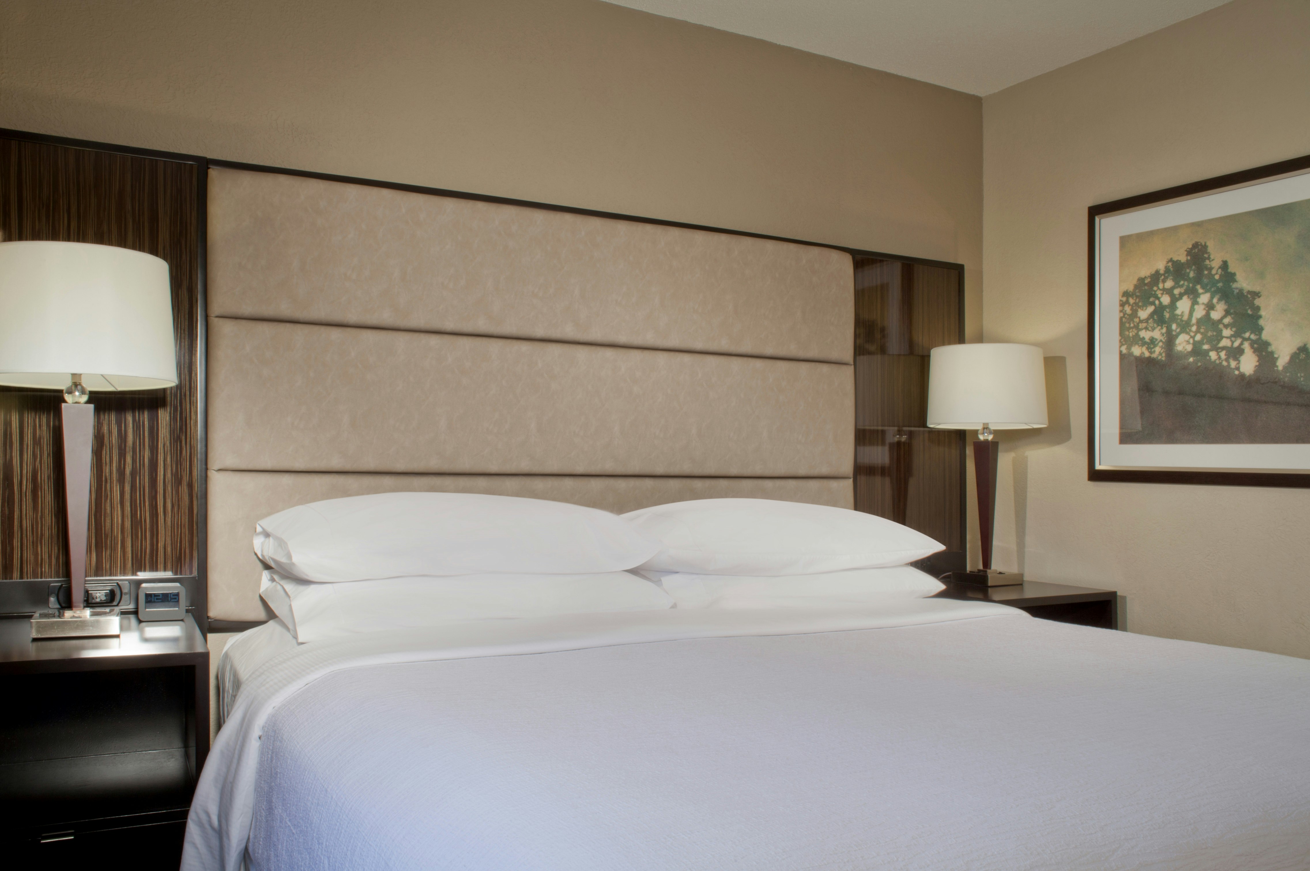 Embassy Suites by Hilton Houston Near the Galleria