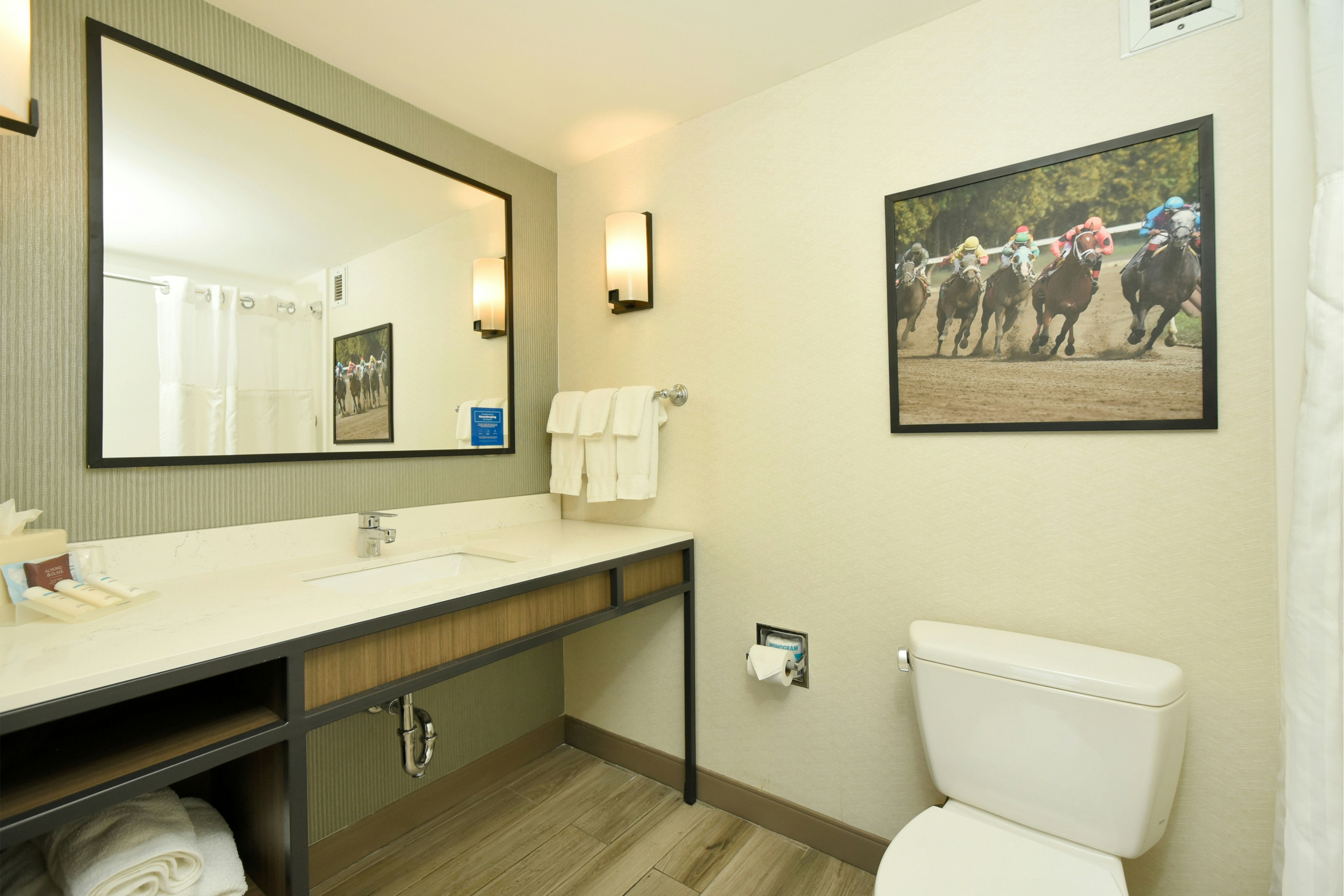 Hilton Garden Inn Saratoga Springs