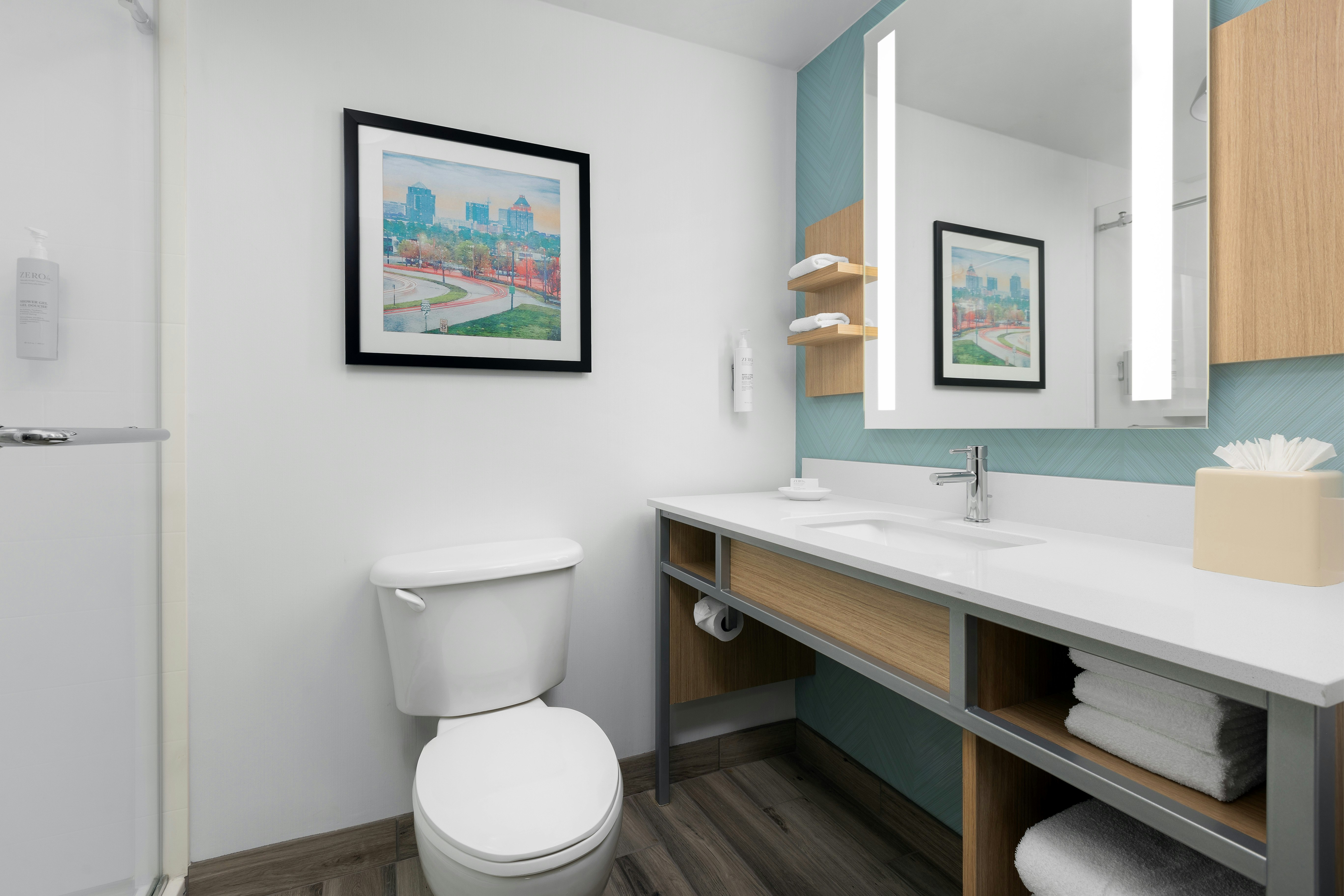 1 KING BED JR SUITE