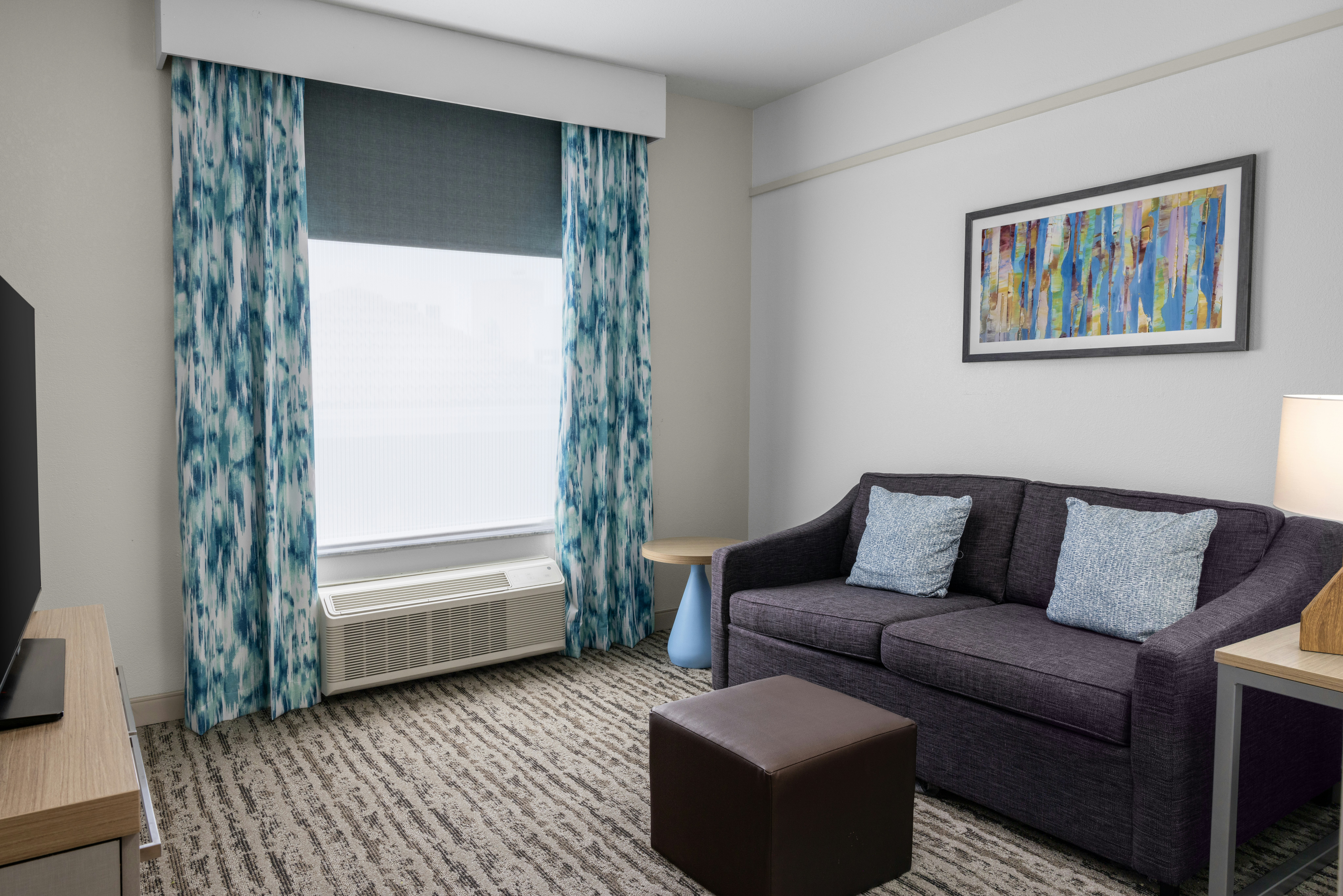 1 KING 1 BDRM DELUXE SUITE