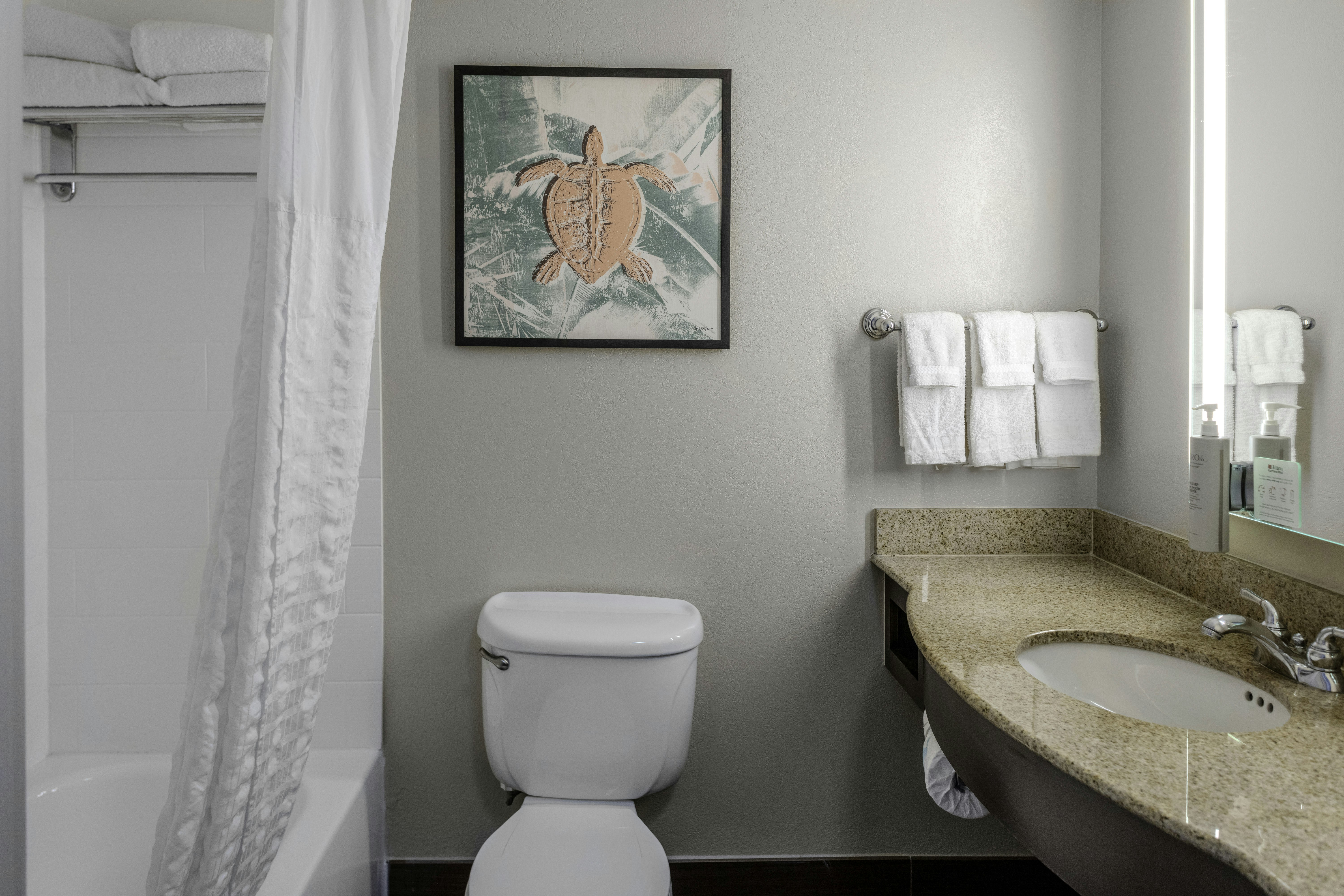 Hilton Garden Inn Sarasota-Bradenton Airport