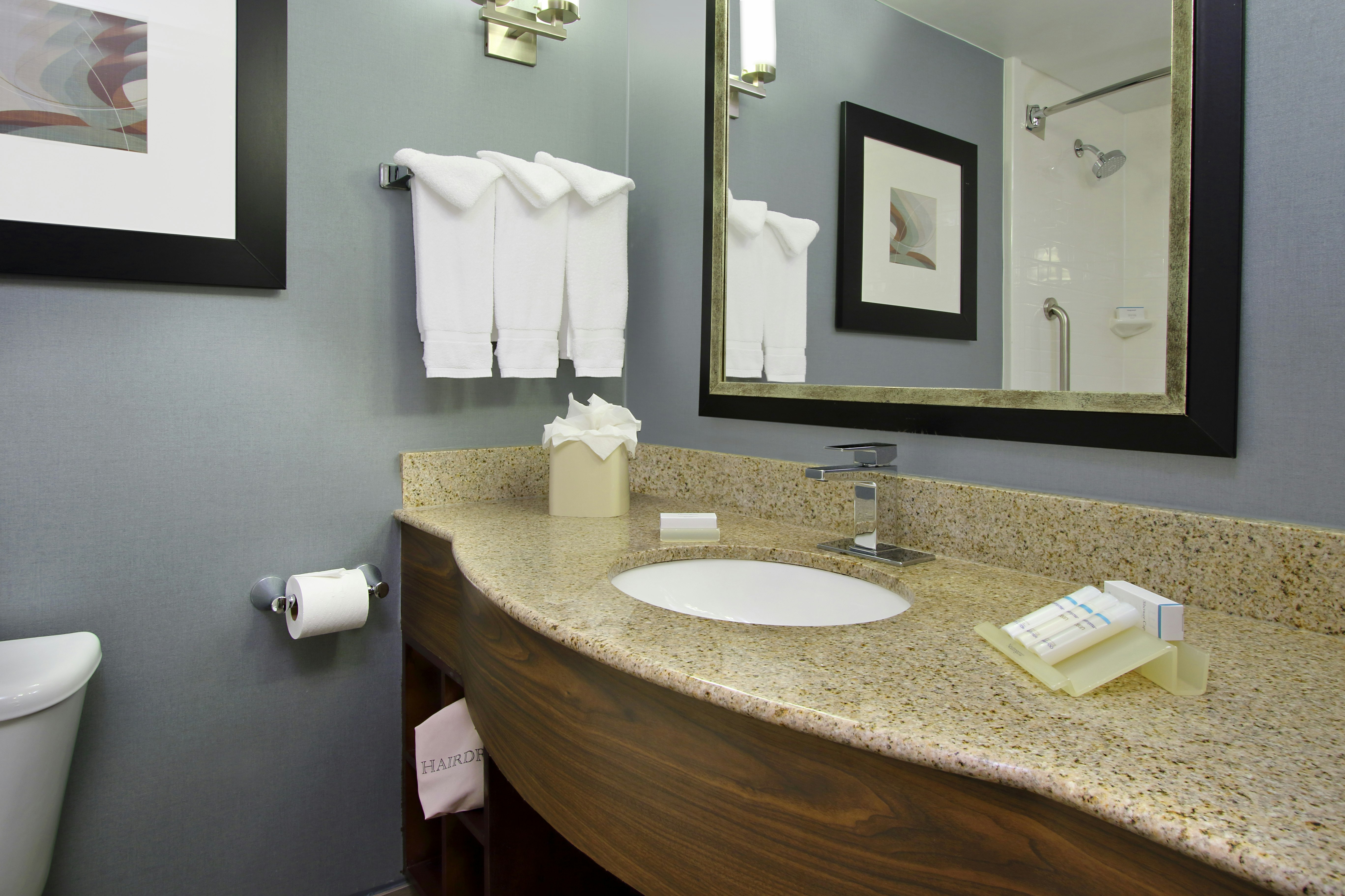 Hilton Garden Inn Austin
