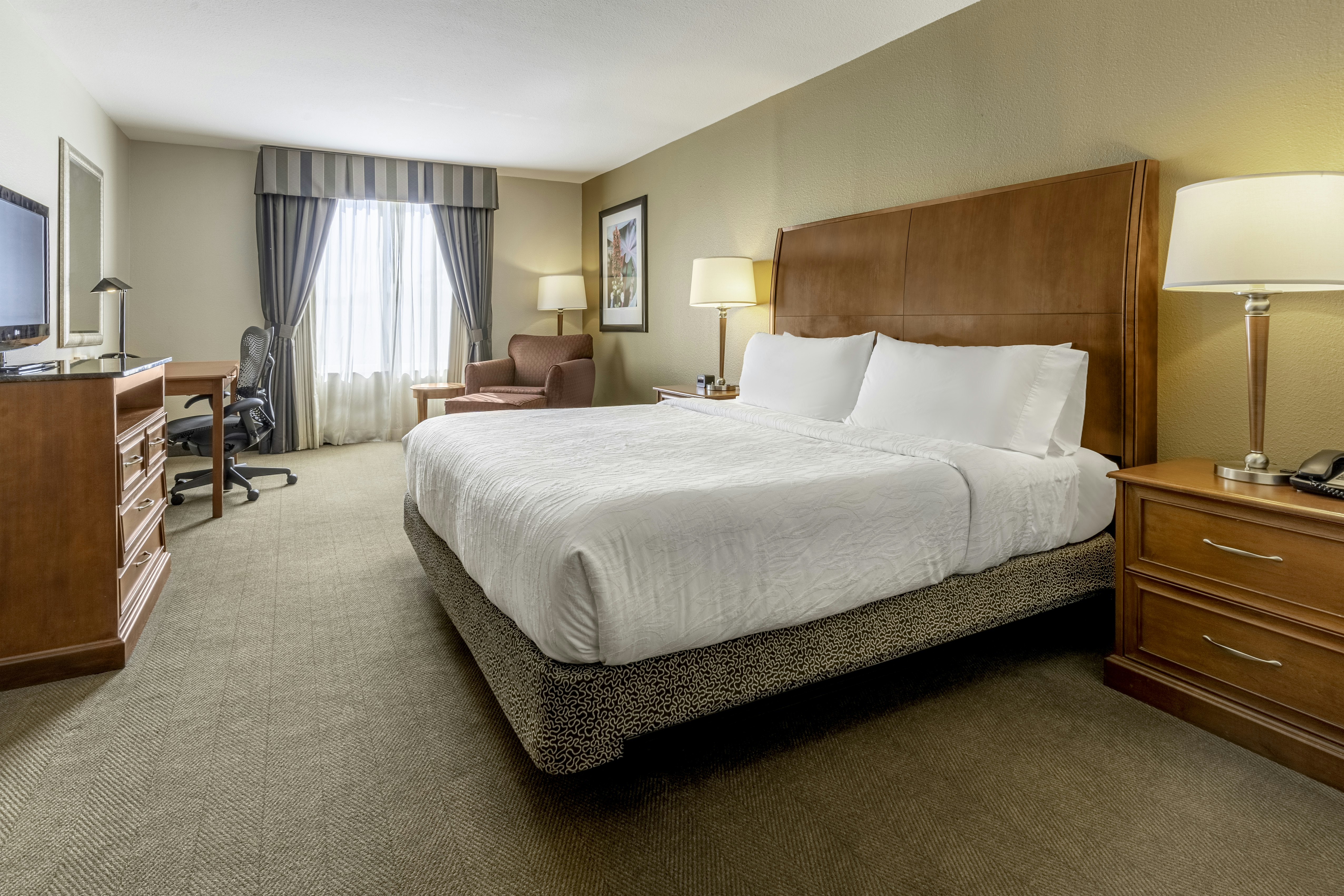 Hilton Garden Inn Houston/The Woodlands