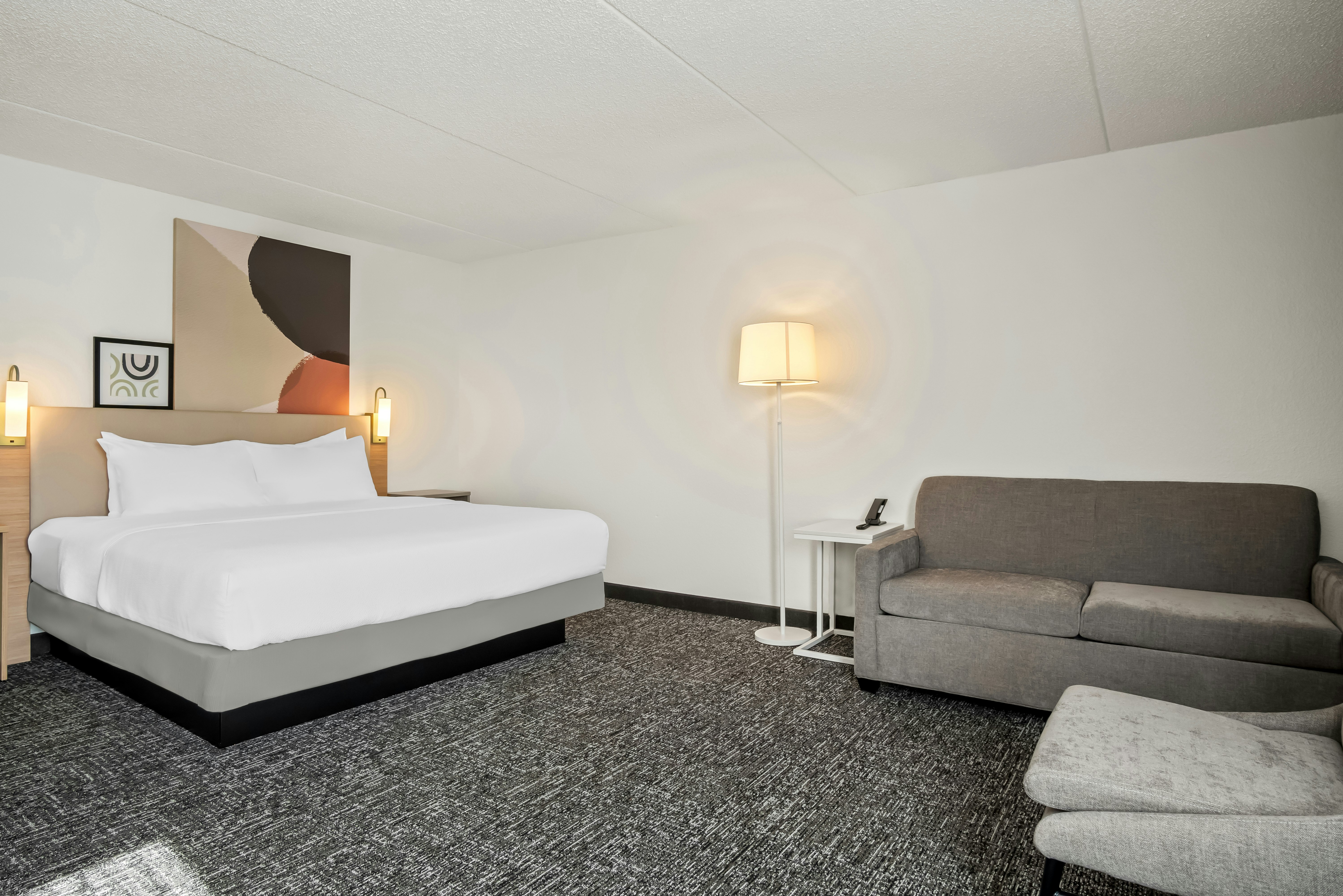 1 KING BED WITH SOFA