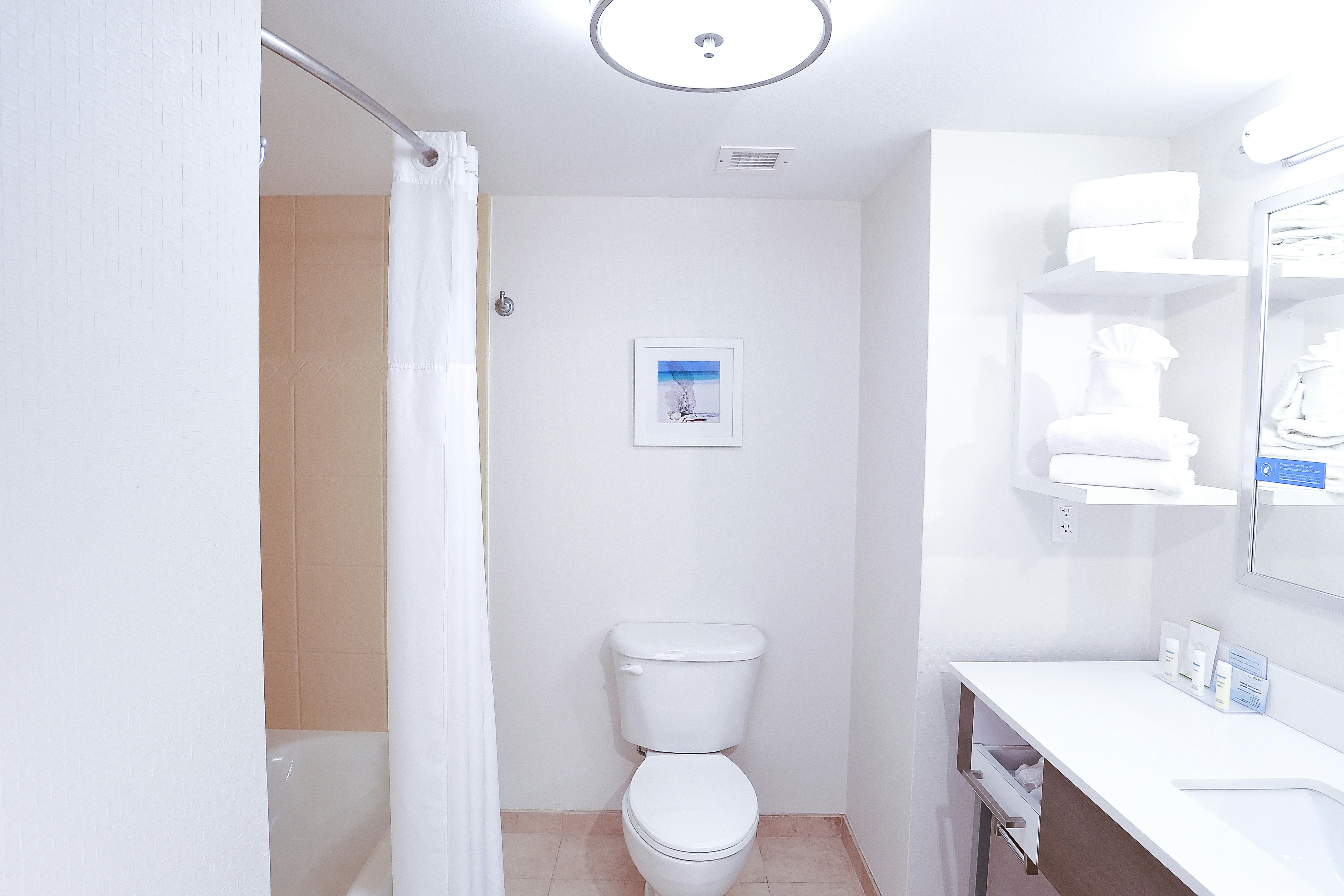 Hampton Inn & Suites Tampa-Wesley Chapel