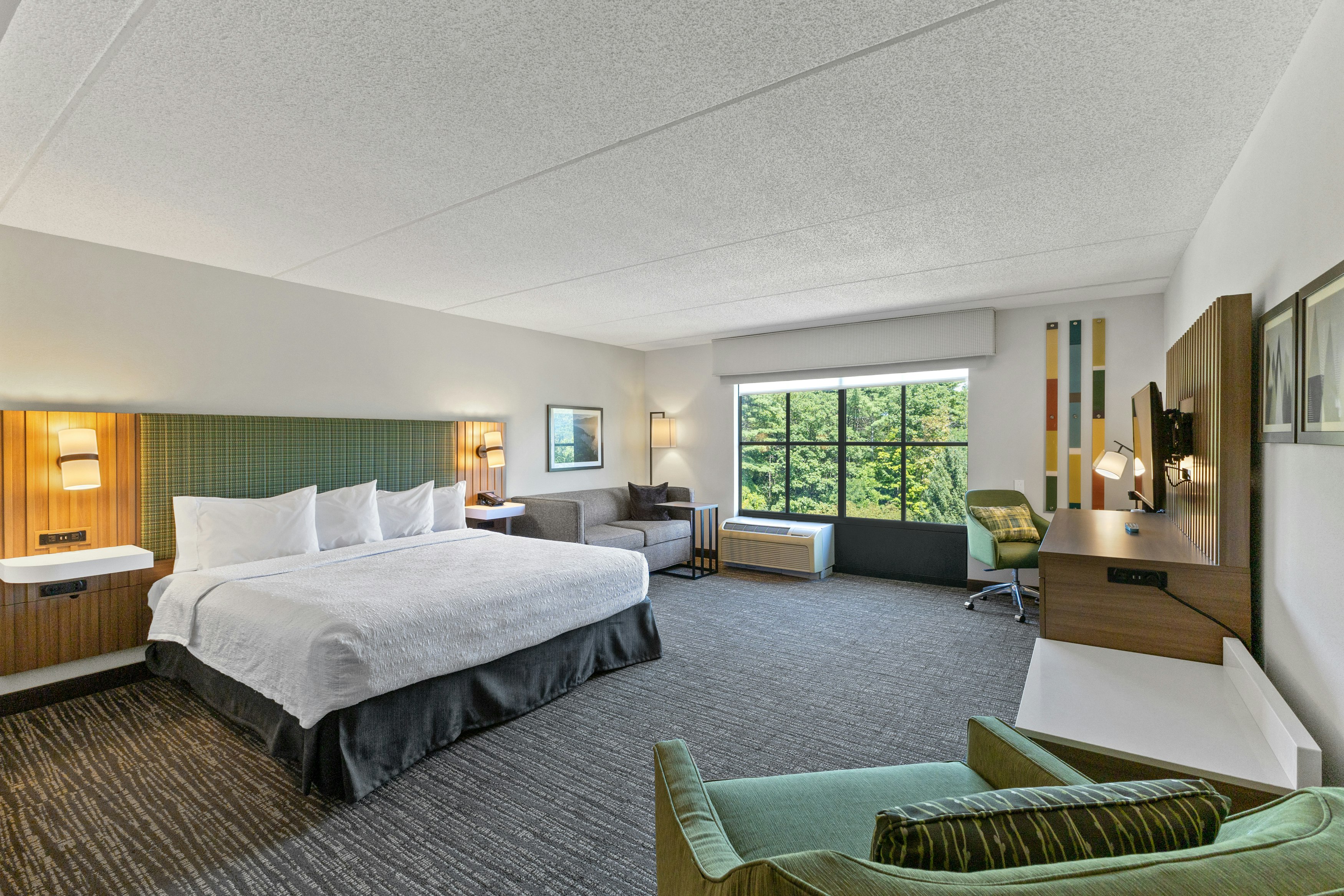 KING MOBILITY SUITE RI SHW