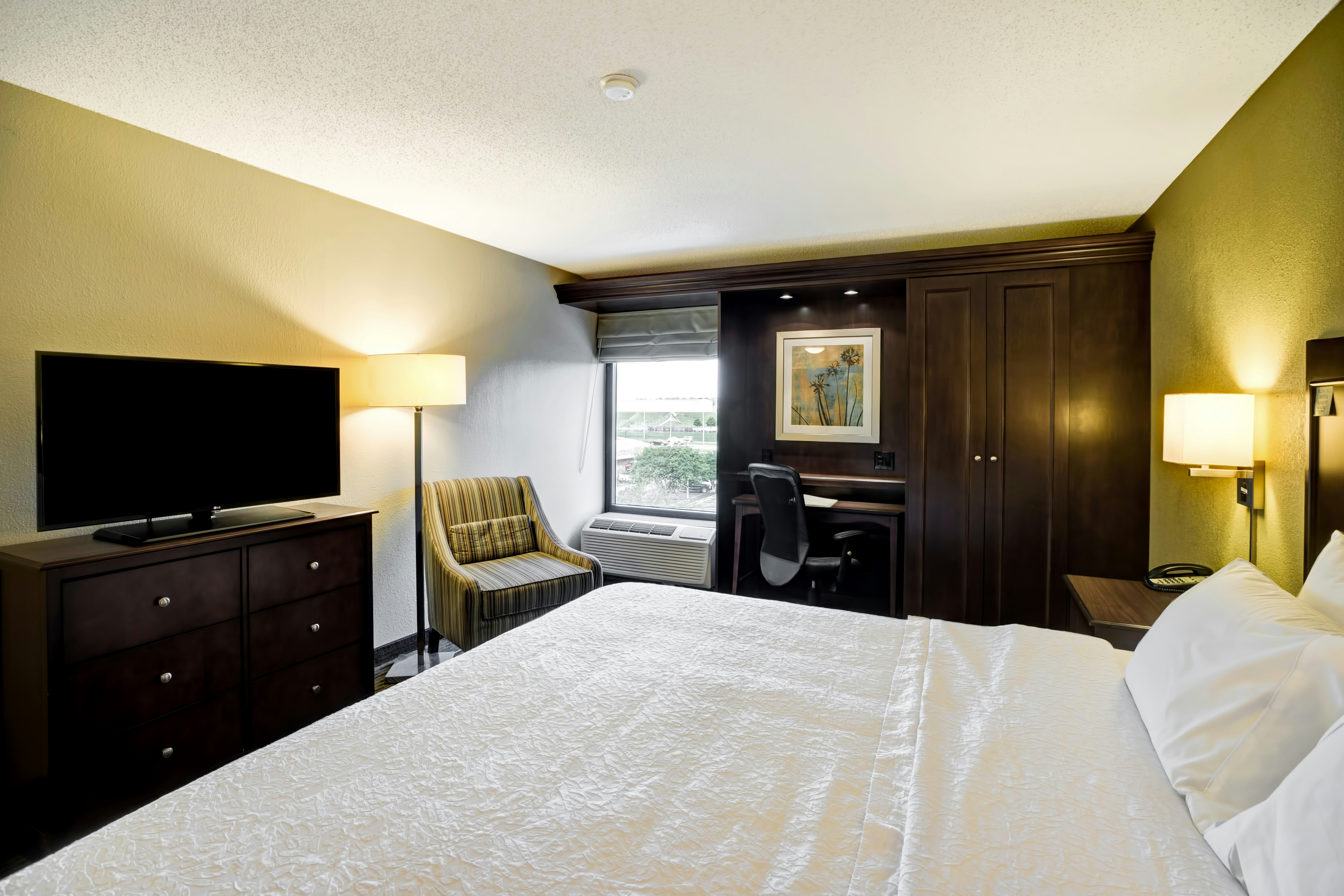 Hampton Inn Knoxville-Airport