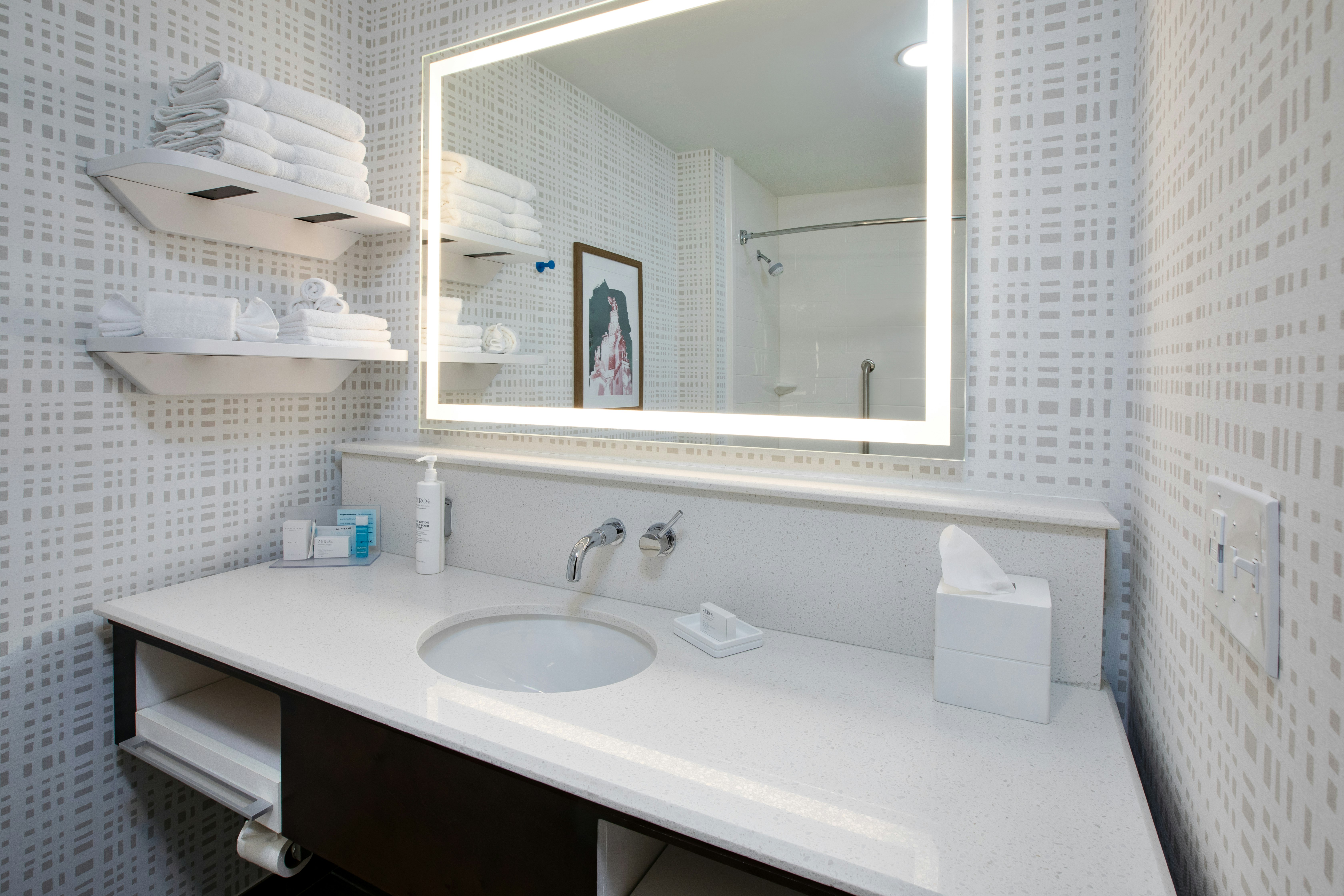 Hampton Inn Detroit/Belleville-Airport Area