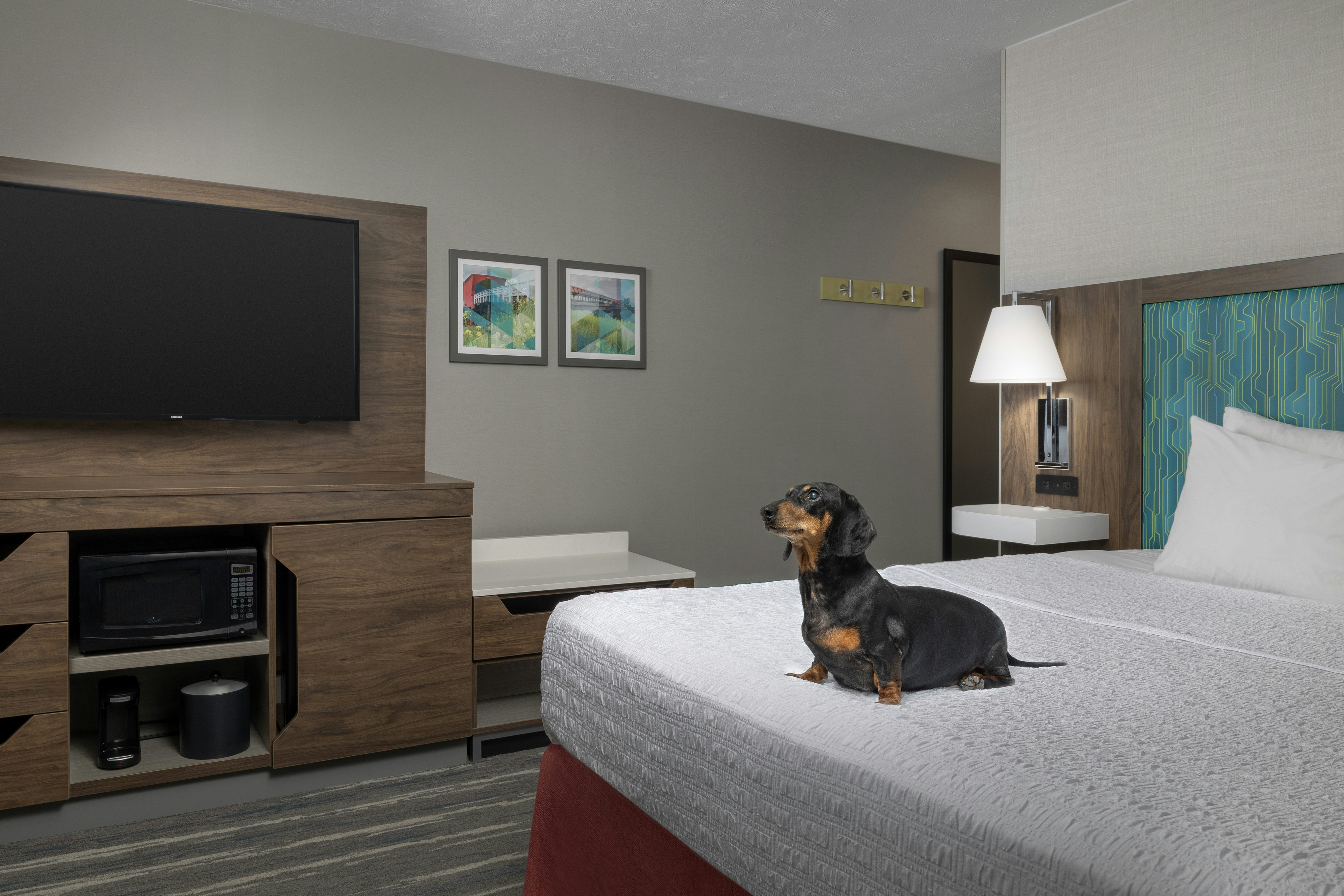 Hampton Inn by Hilton Waterloo Cedar Valley