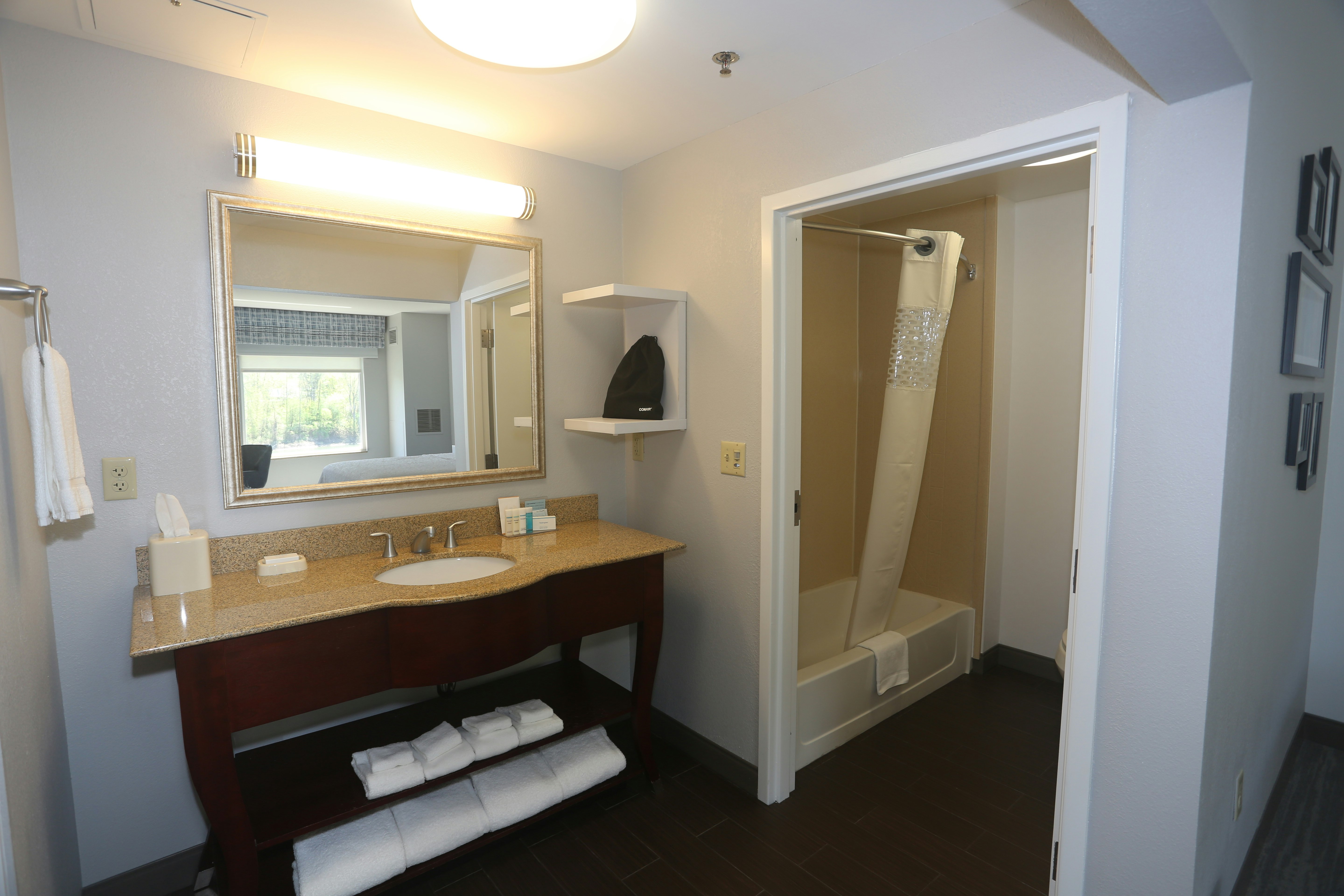 Hampton Inn Owego