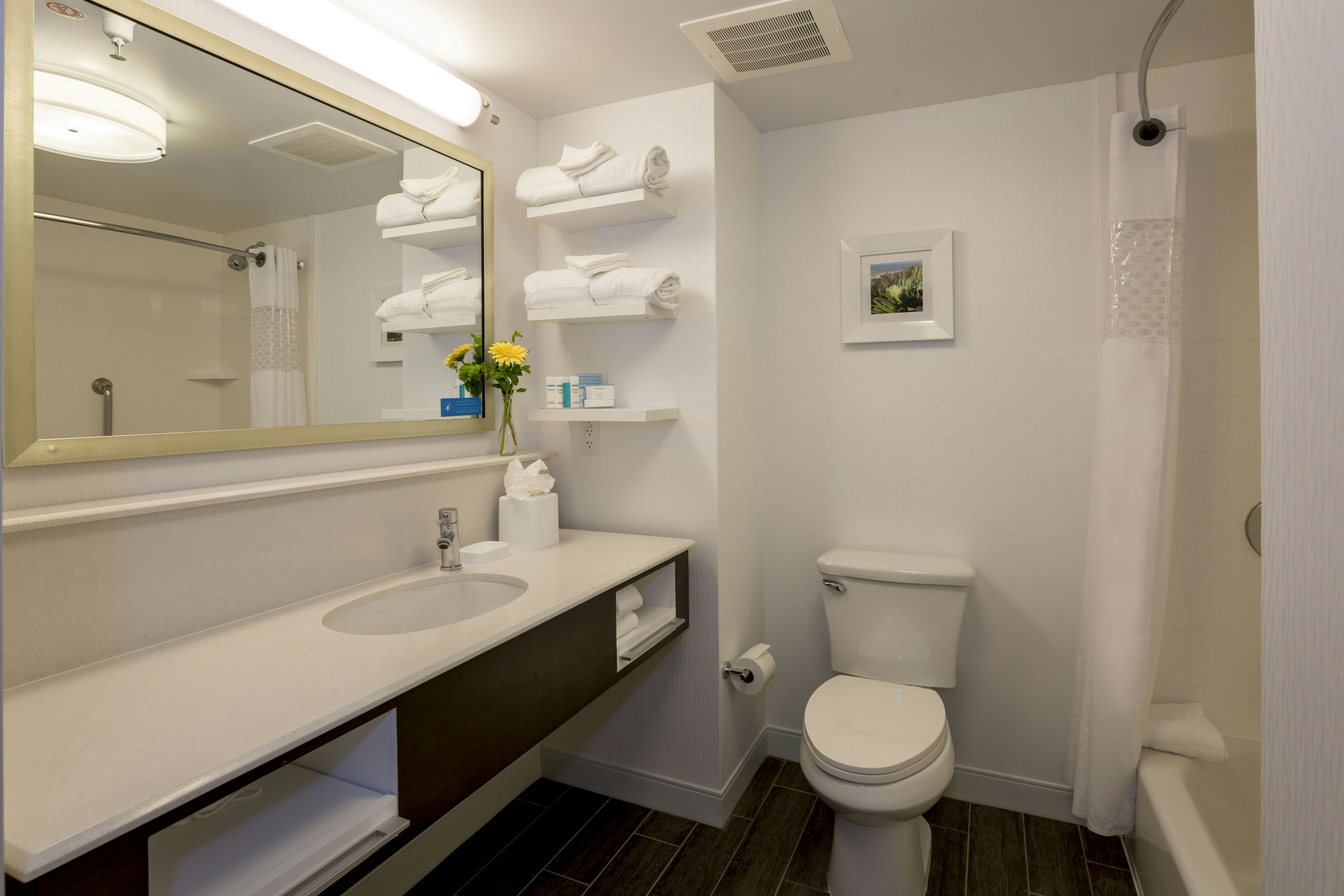 Hampton Inn by Hilton Santa Barbara/Goleta