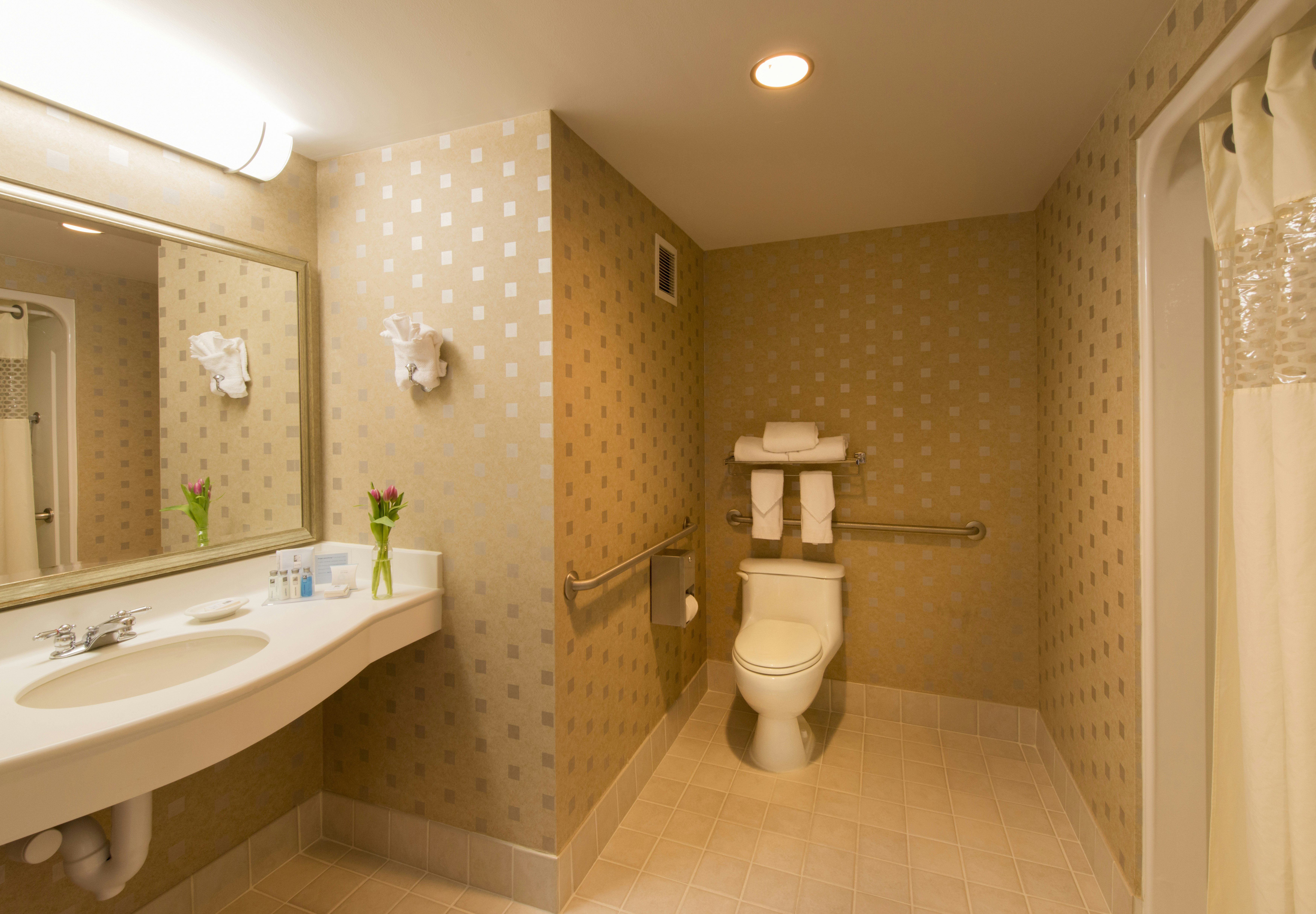 Hampton Inn & Suites Boston-Crosstown Center