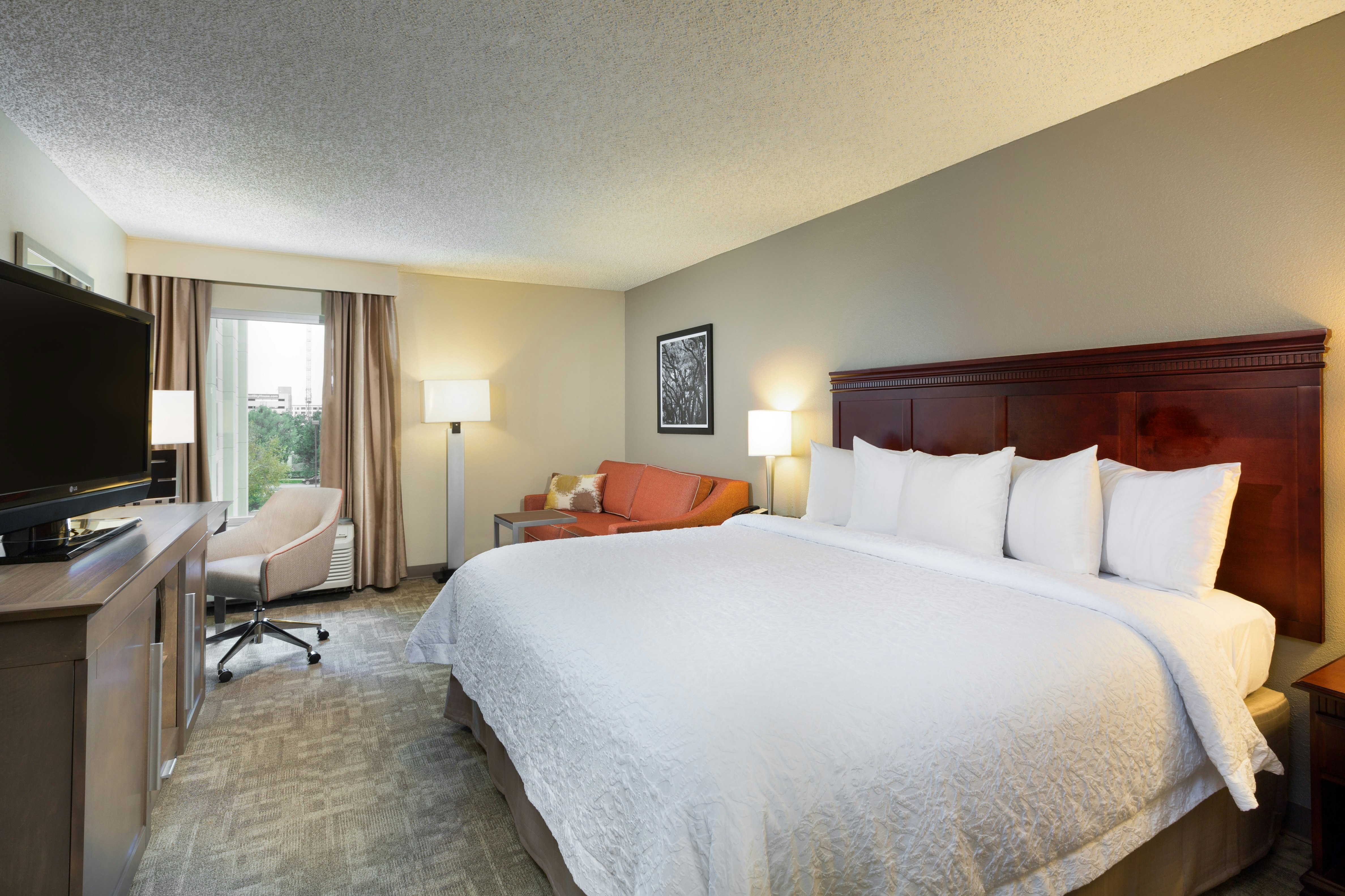 Hampton Inn Houston-Near the Galleria