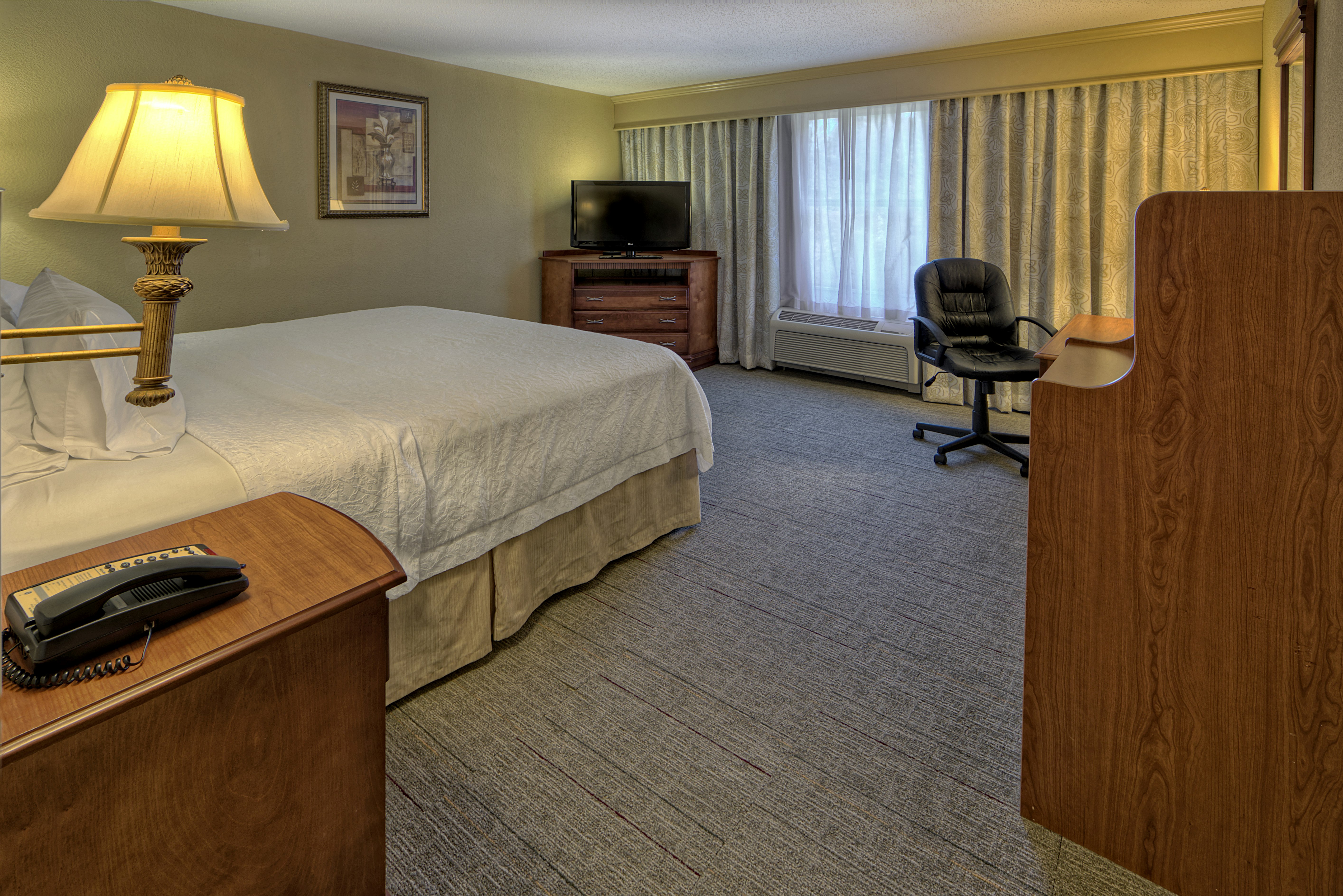 Hampton Inn Manning