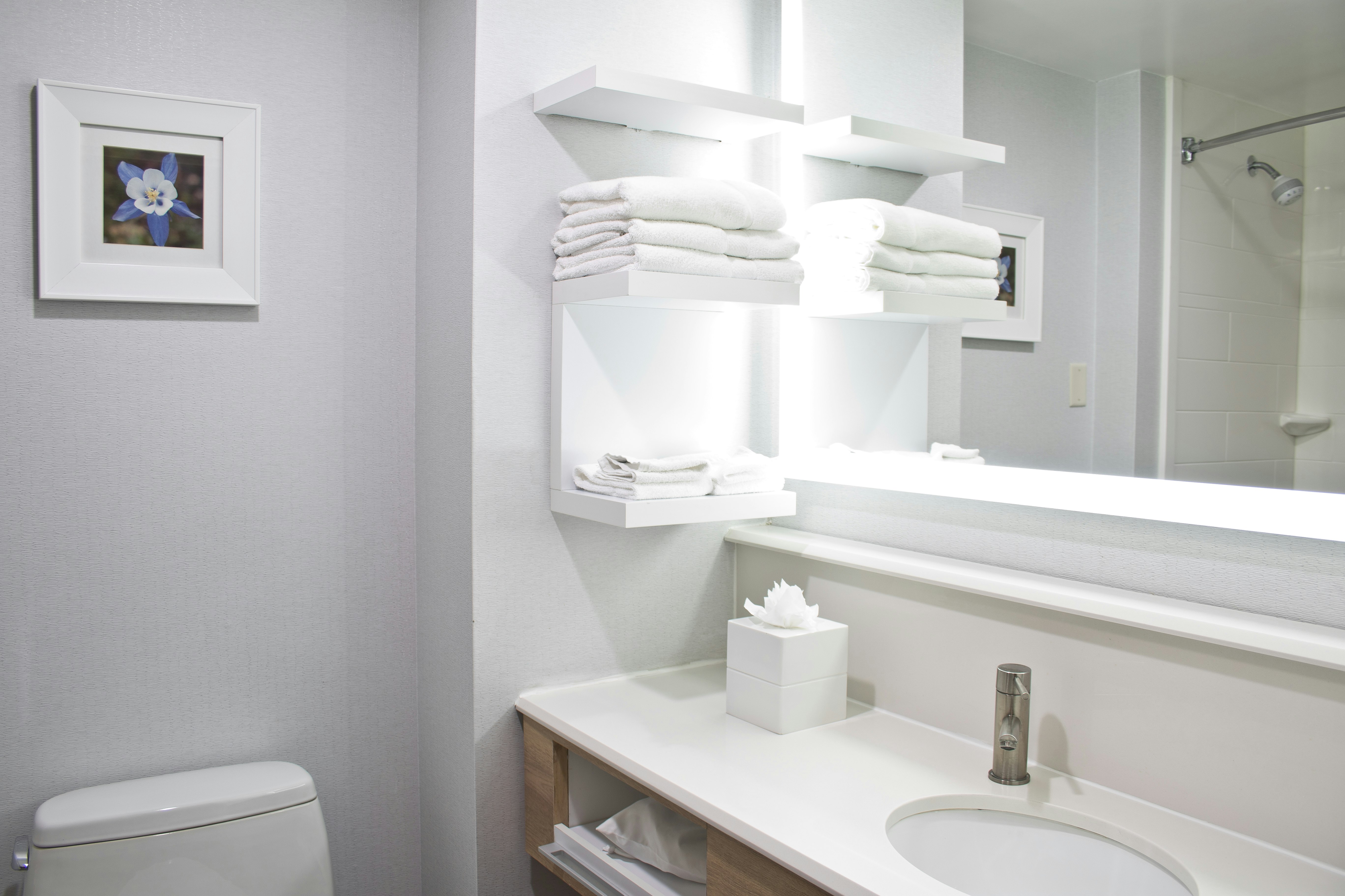 Hampton Inn & Suites Denver-Speer Boulevard