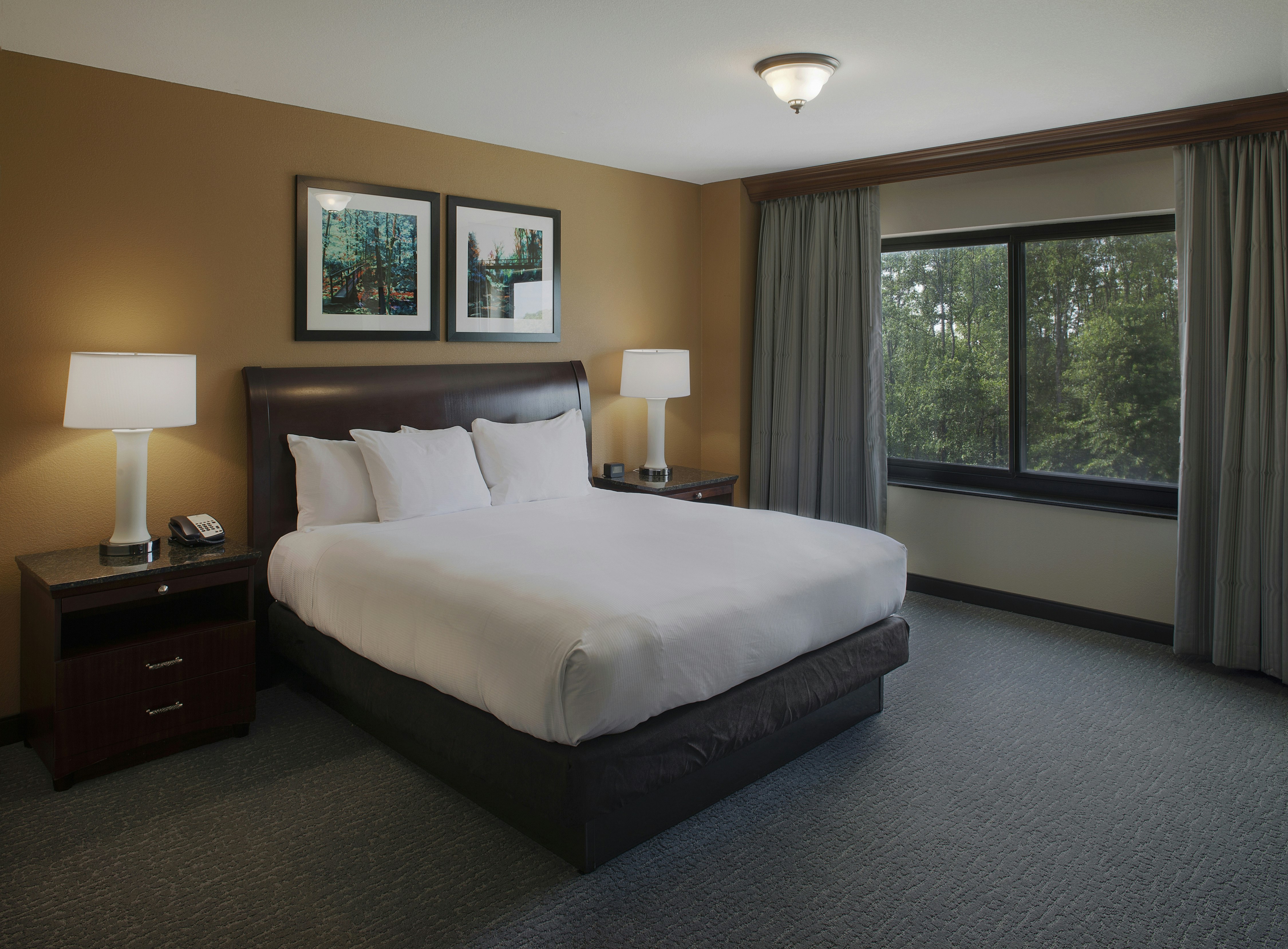 DoubleTree Suites by Hilton Hotel Bentonville